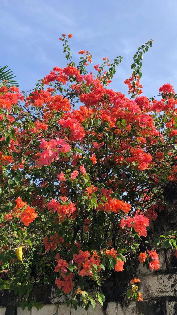 Amrita Villa Sidemen