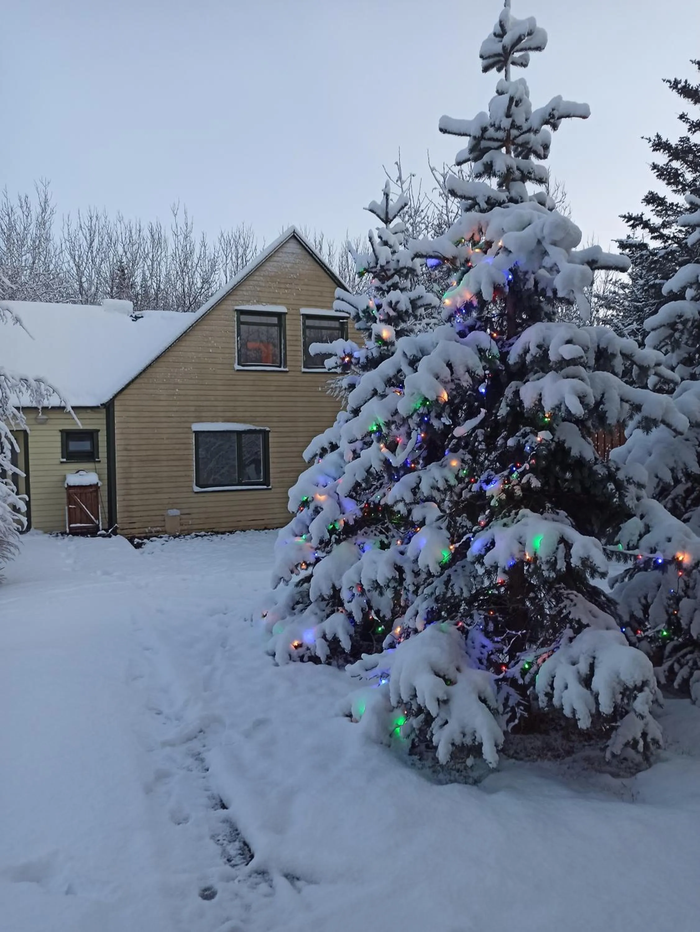 Property building in Hotel Hjardarbol