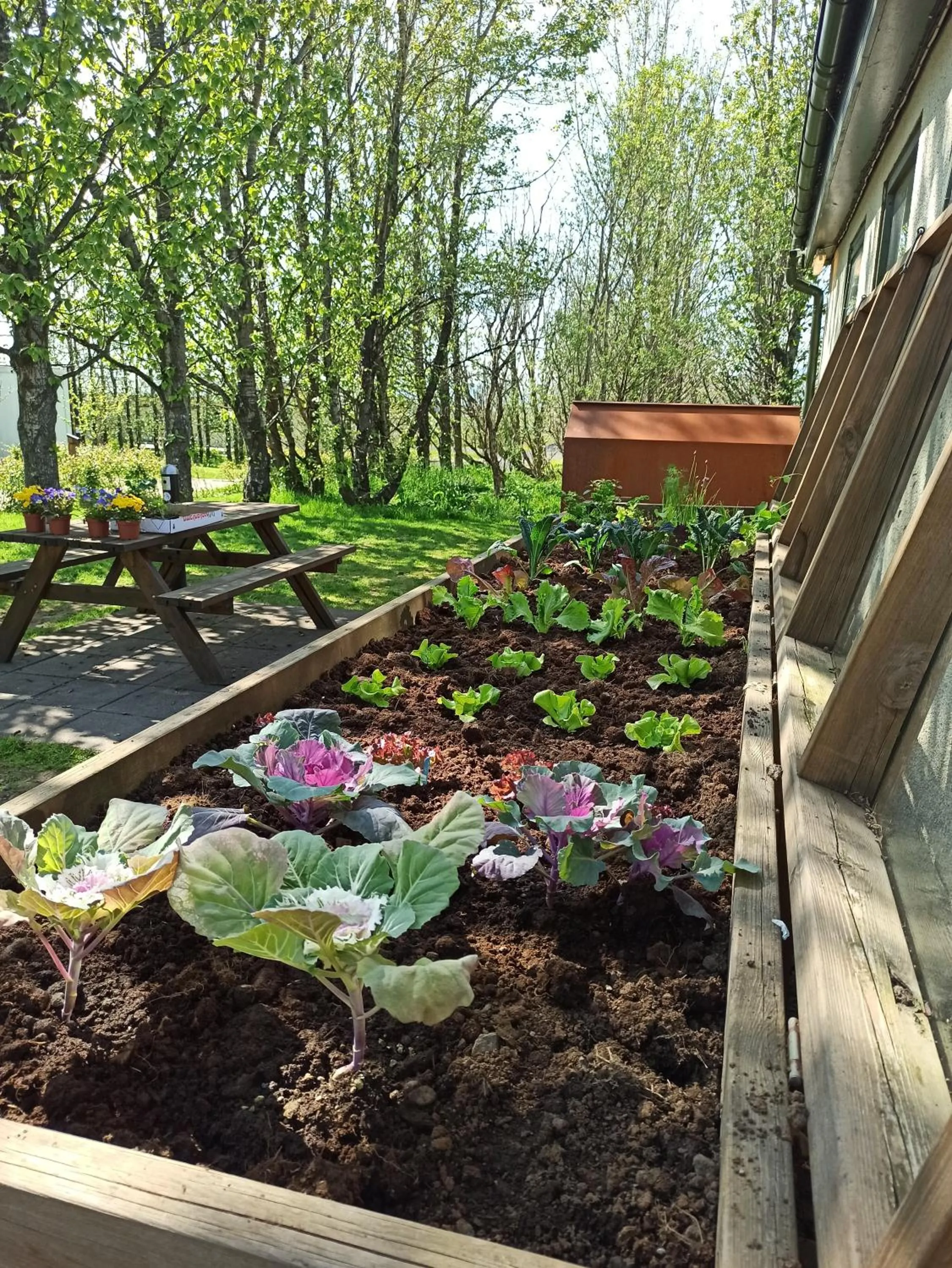 Summer in Hotel Hjardarbol