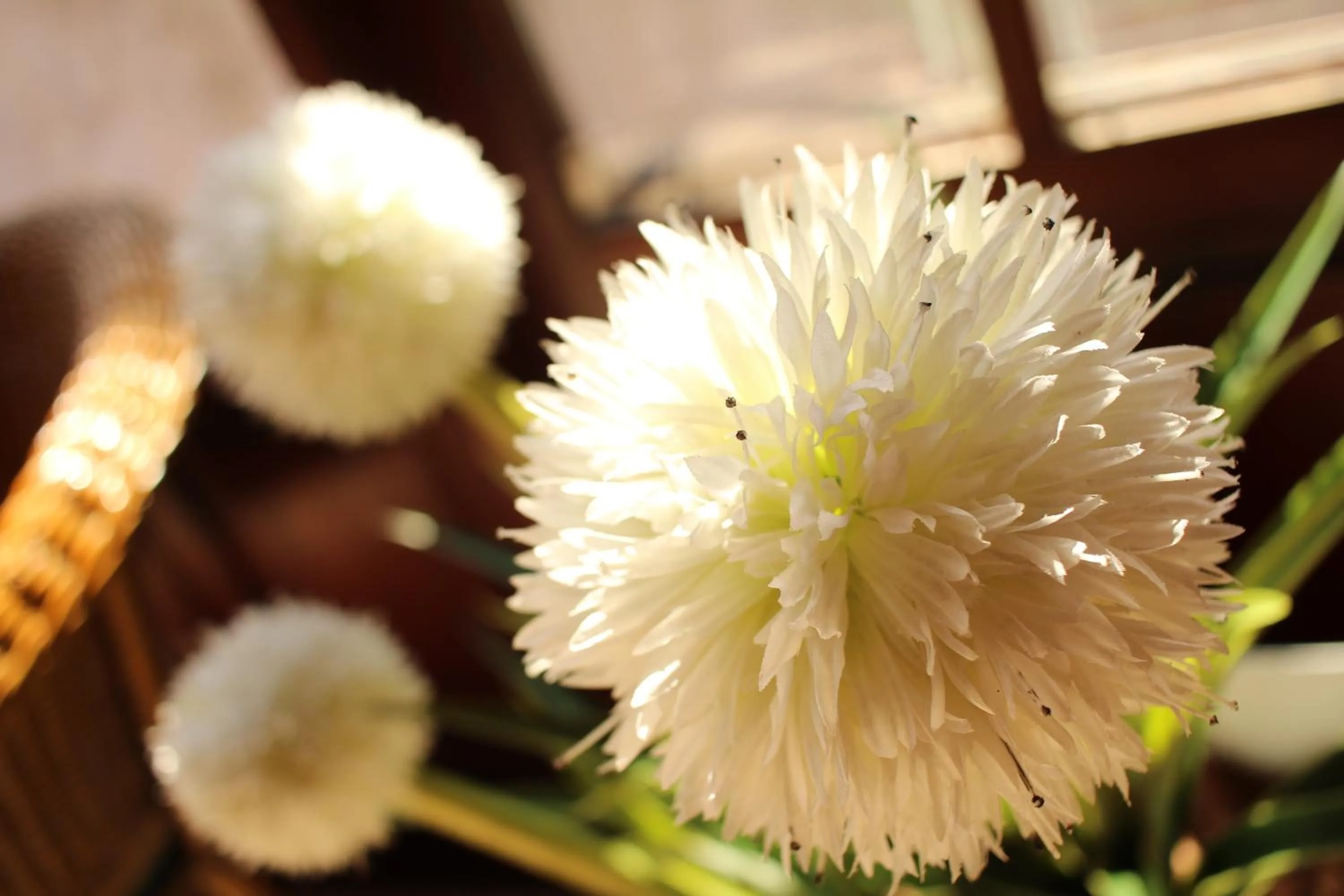 Decorative detail in Pousada Irmãos do Mar