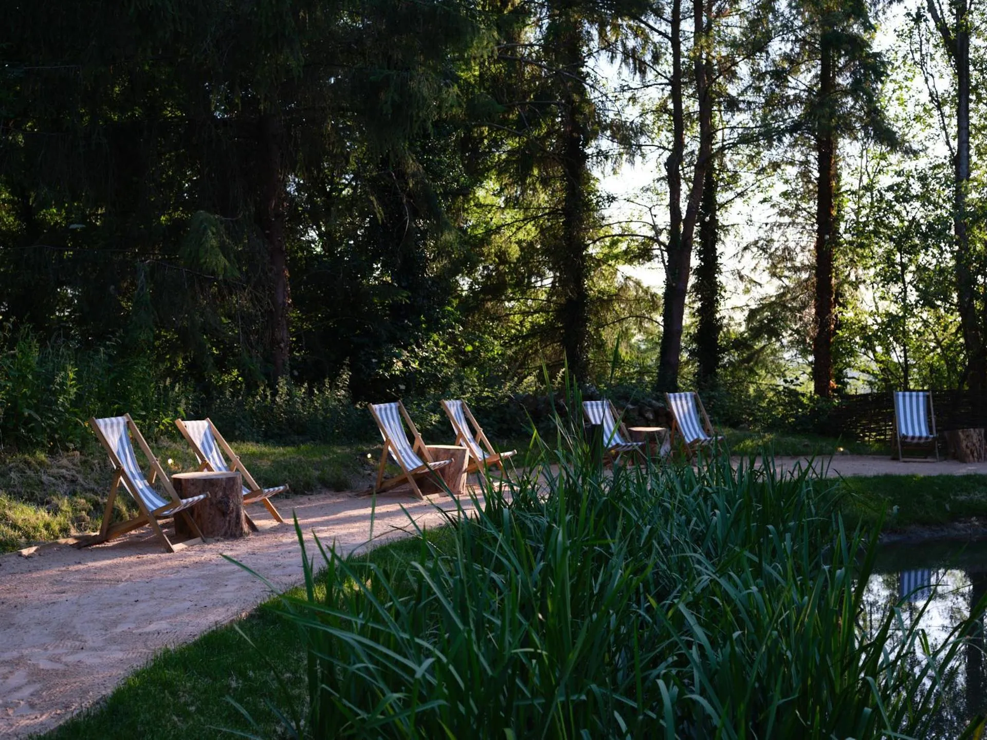 Natural landscape in The Fish Hotel