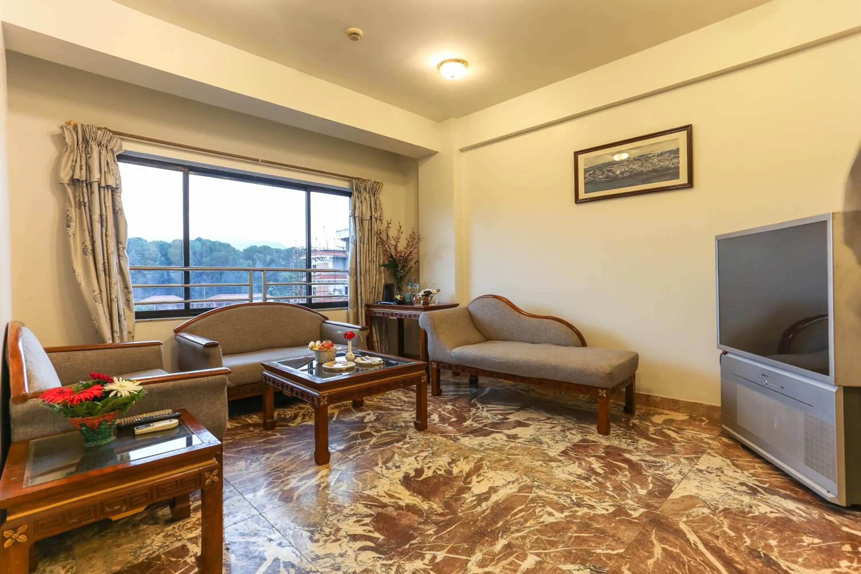 TV and multimedia in Hotel Le Himalaya