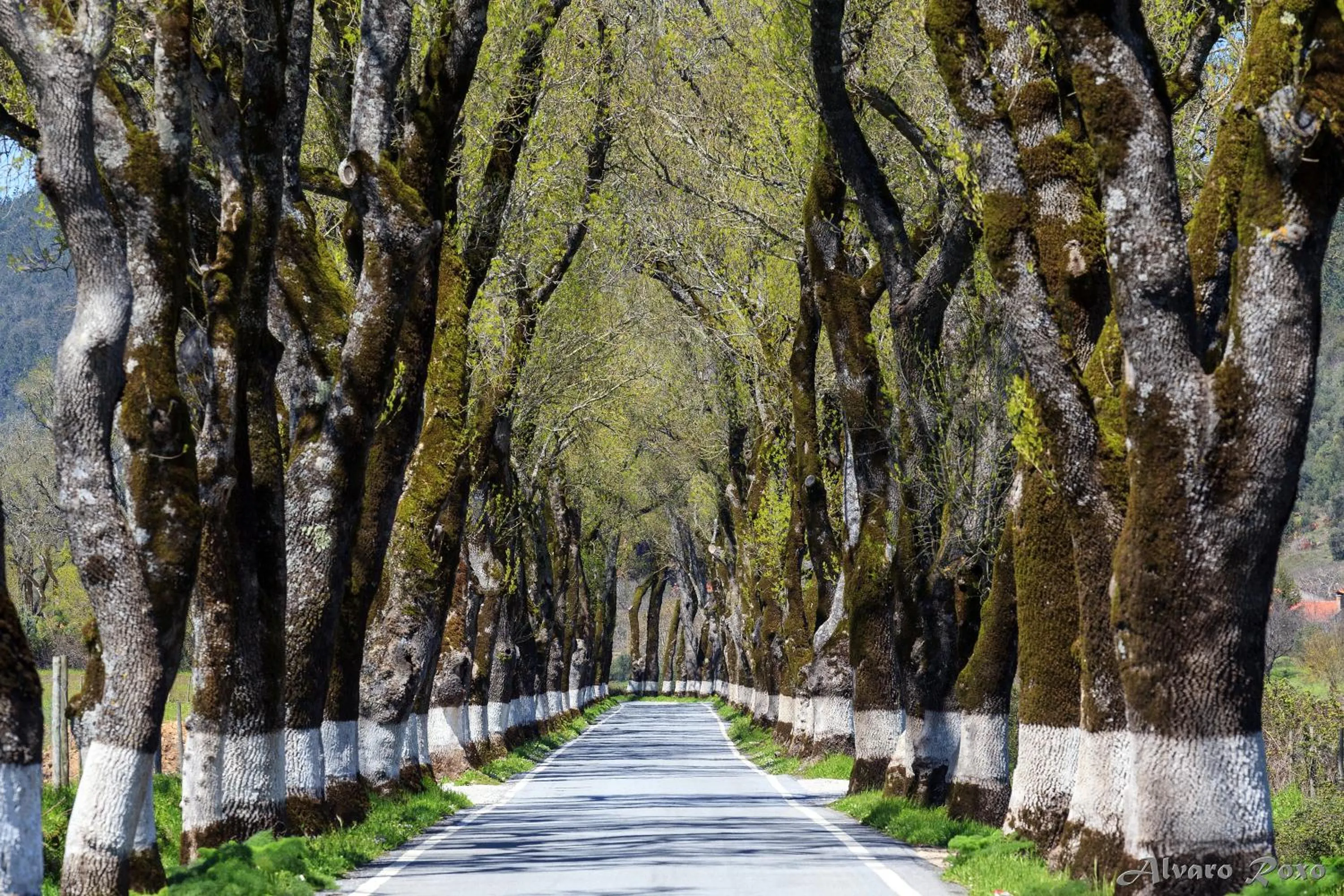 Other in Sever Rio Hotel