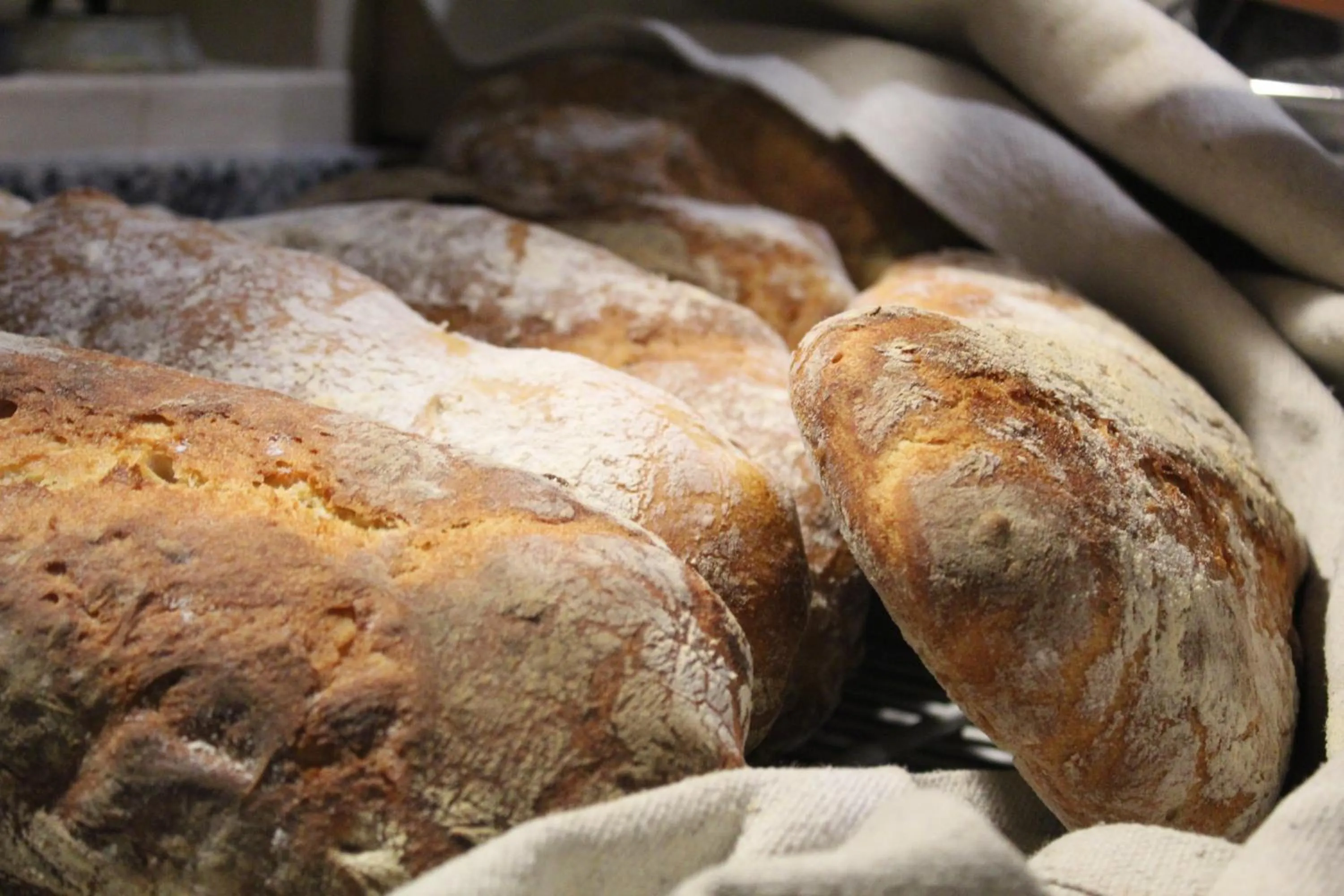 Food and drinks in Hotel Ristorante Benigni