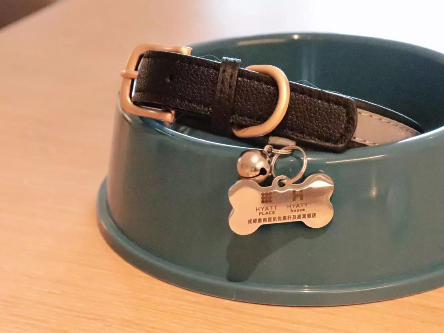 pet friendly in Hyatt Place Chengdu Pebble Walk