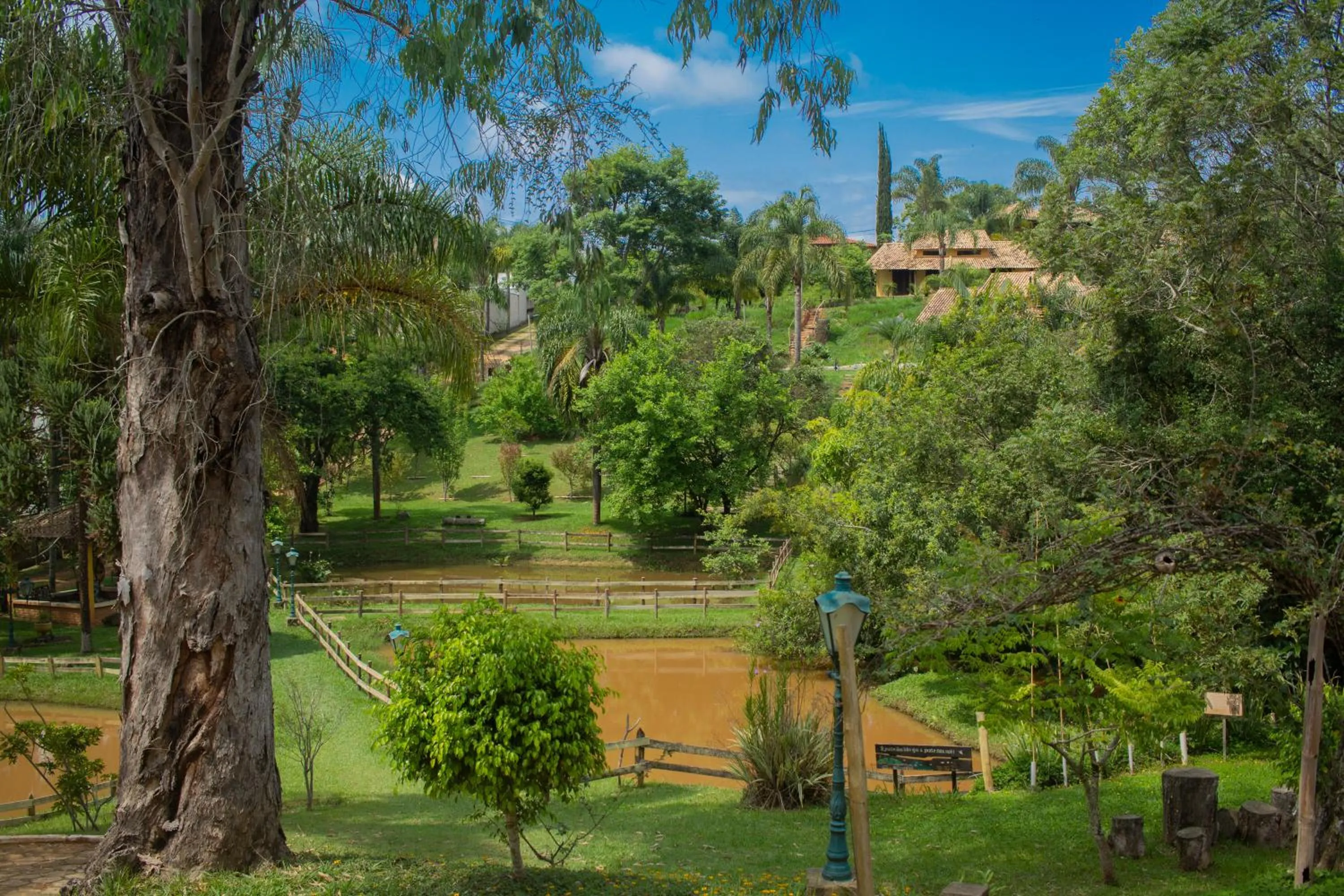 Natural landscape in Vila Chico