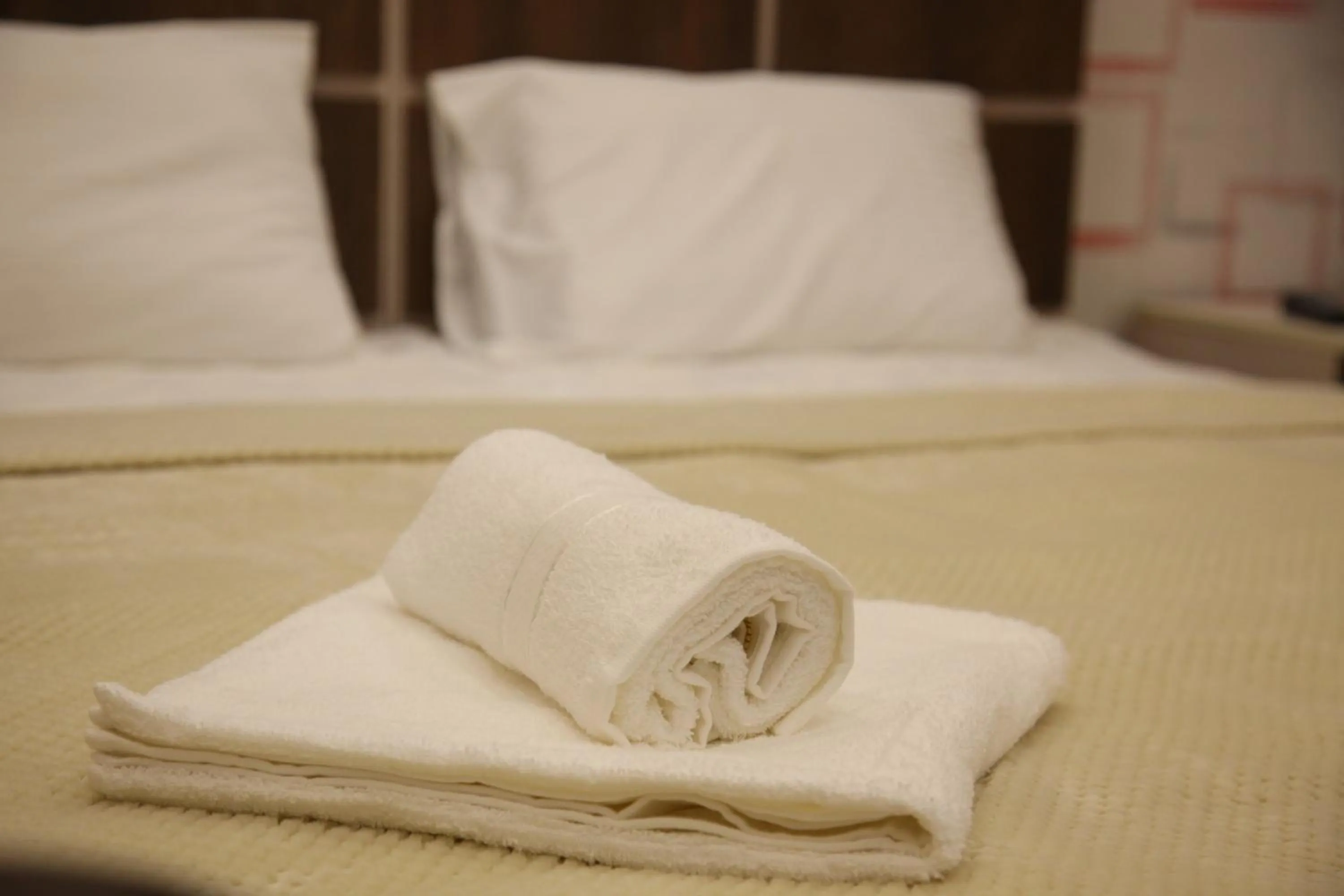 Double Room in Hotel Felisa Gyumri