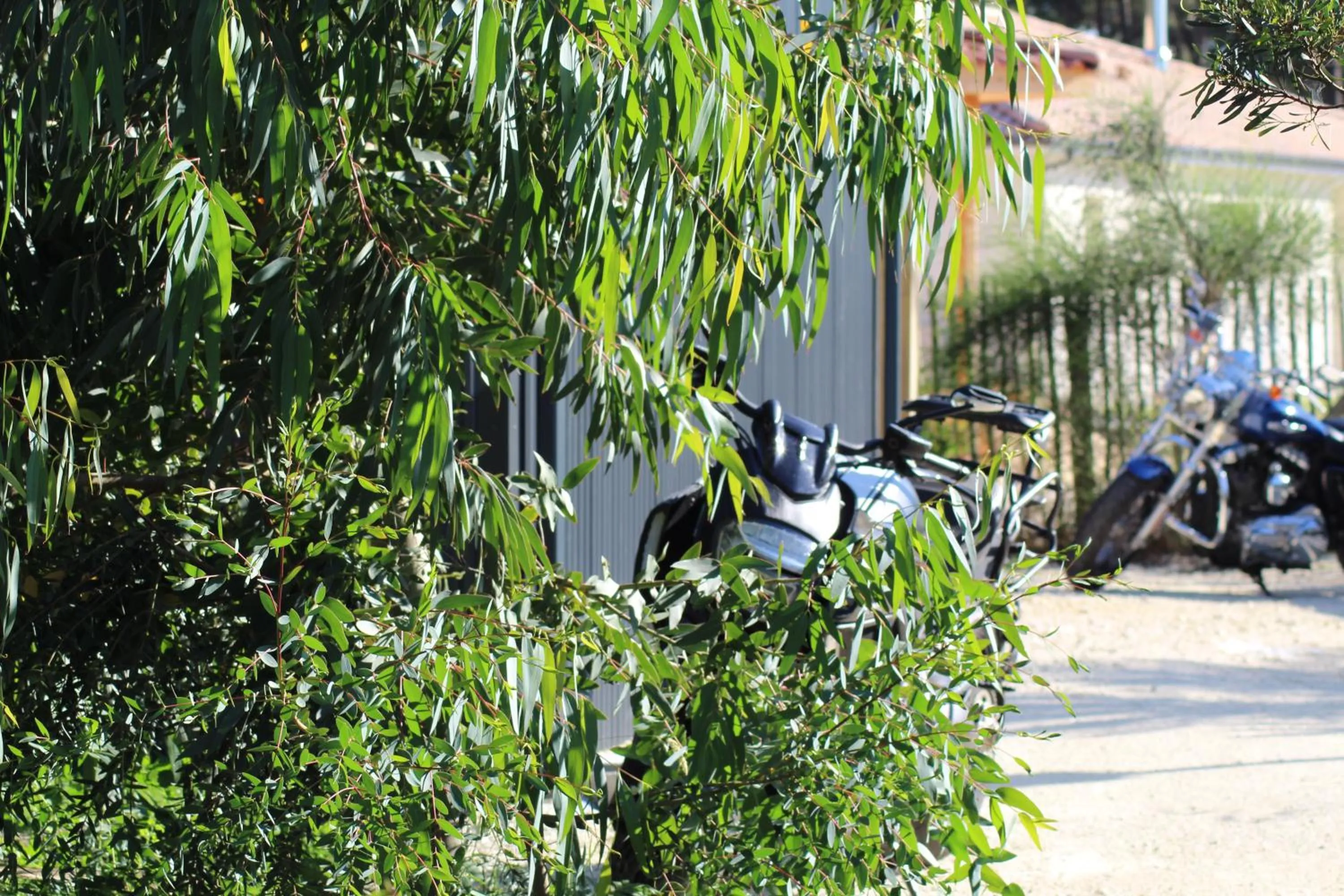 Garden in Chambres d'Hôtes 1001 NUITS Montalivet