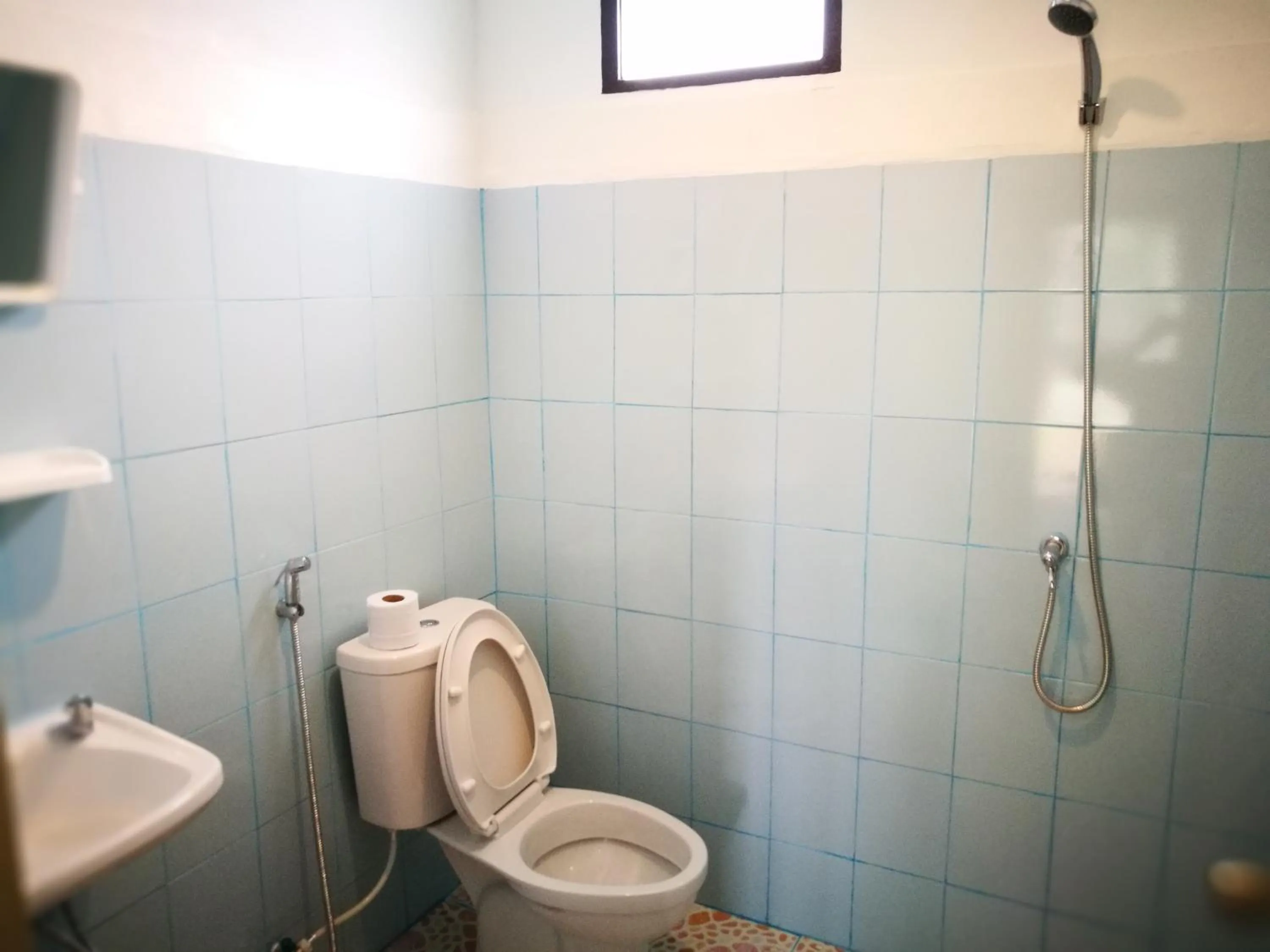 Bathroom in Smiley frog