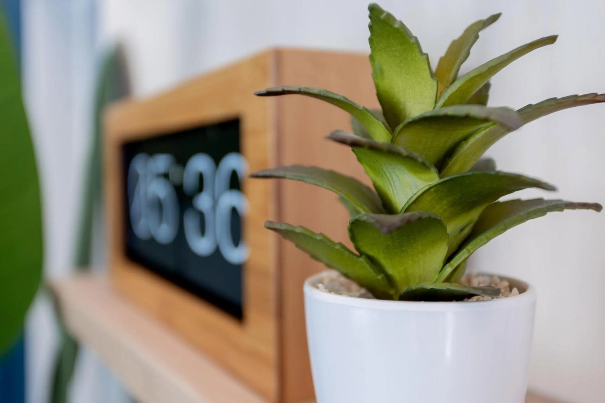 Decorative detail in Hanmer Springs TOP 10 Holiday Park