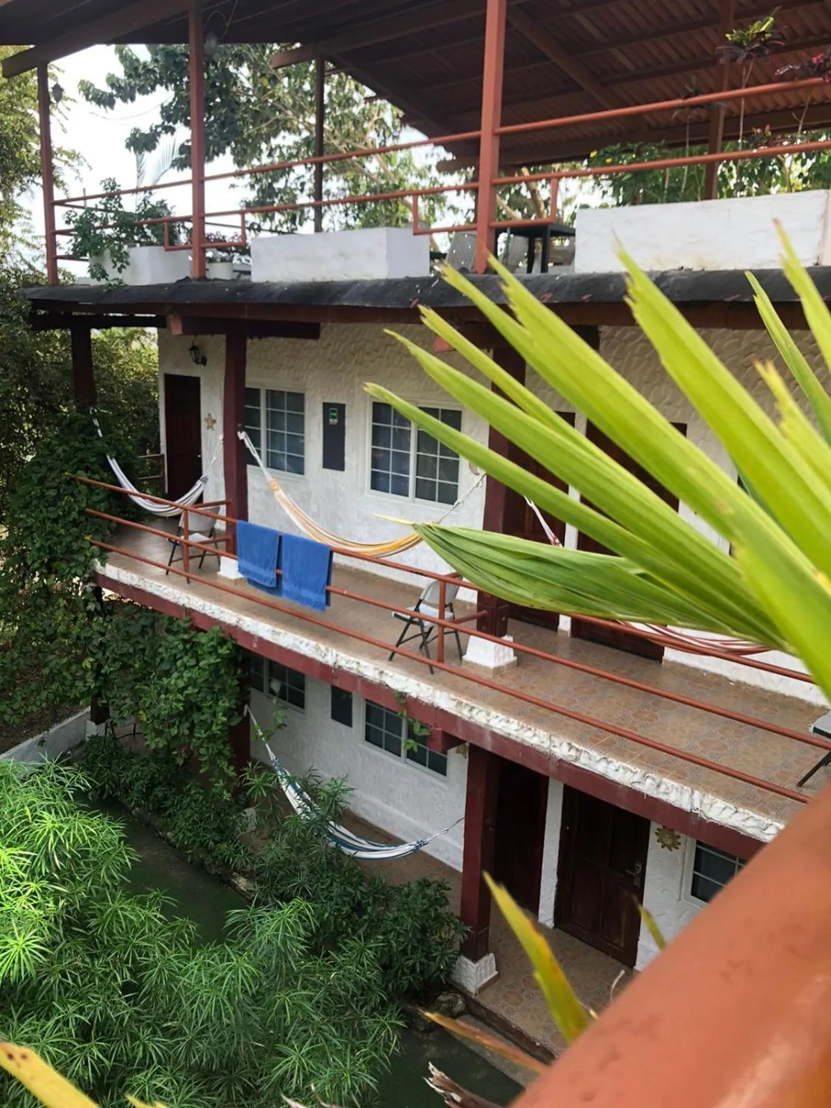 Patio in Hotel Gerald