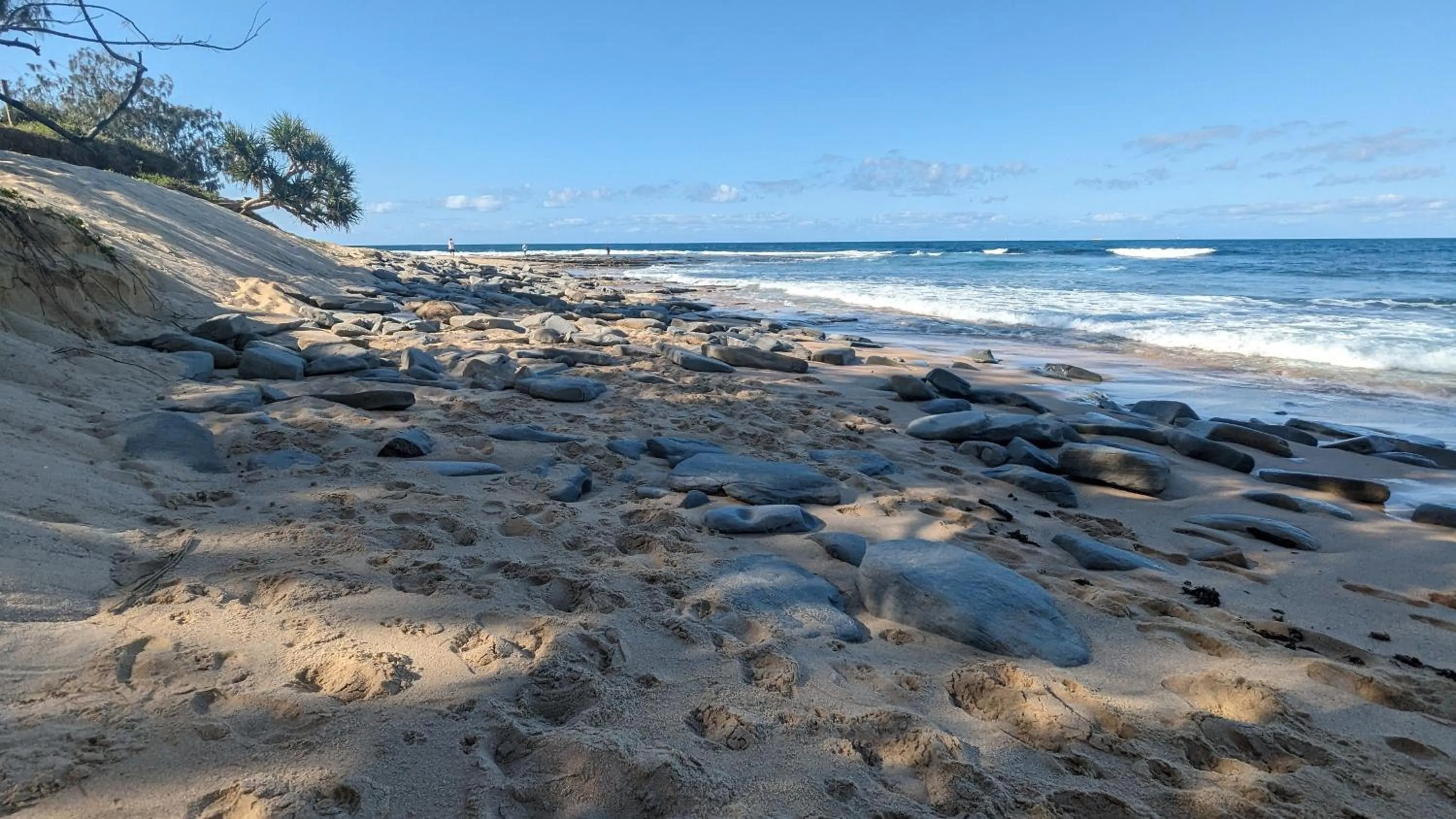 Natural landscape in Moffat Beach Motel Caloundra