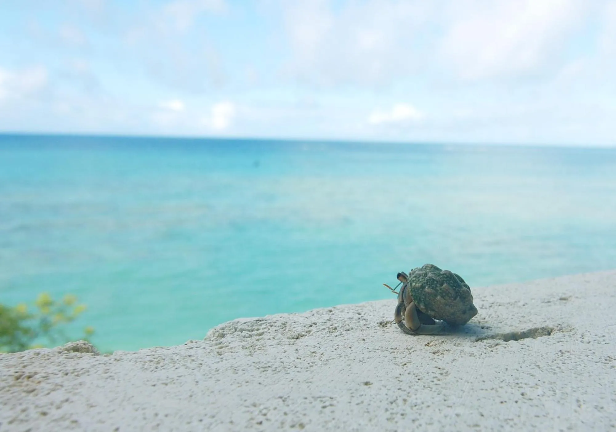 Natural landscape in Hyakunagaran