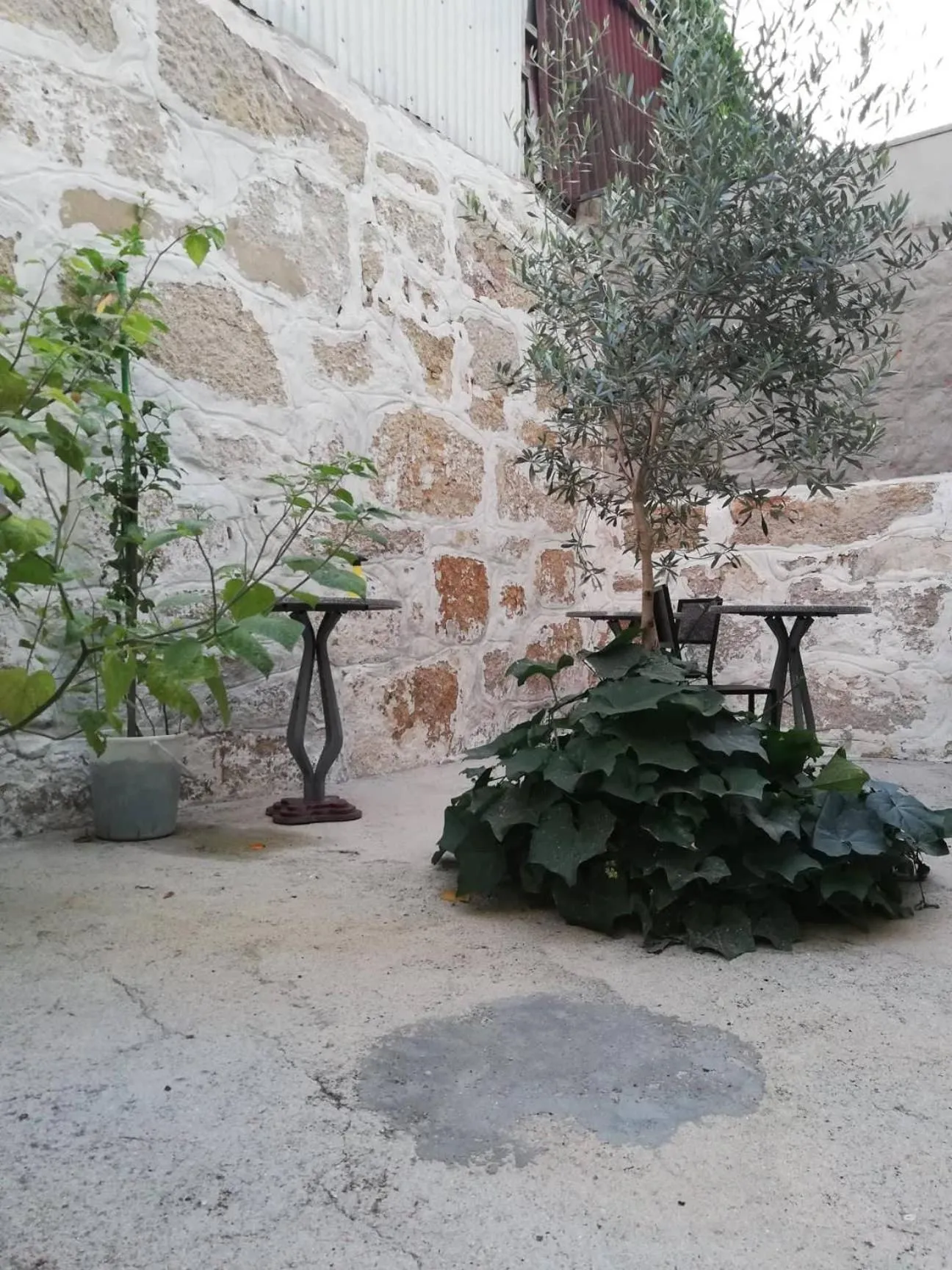 Patio in Gabriel Guesthouse