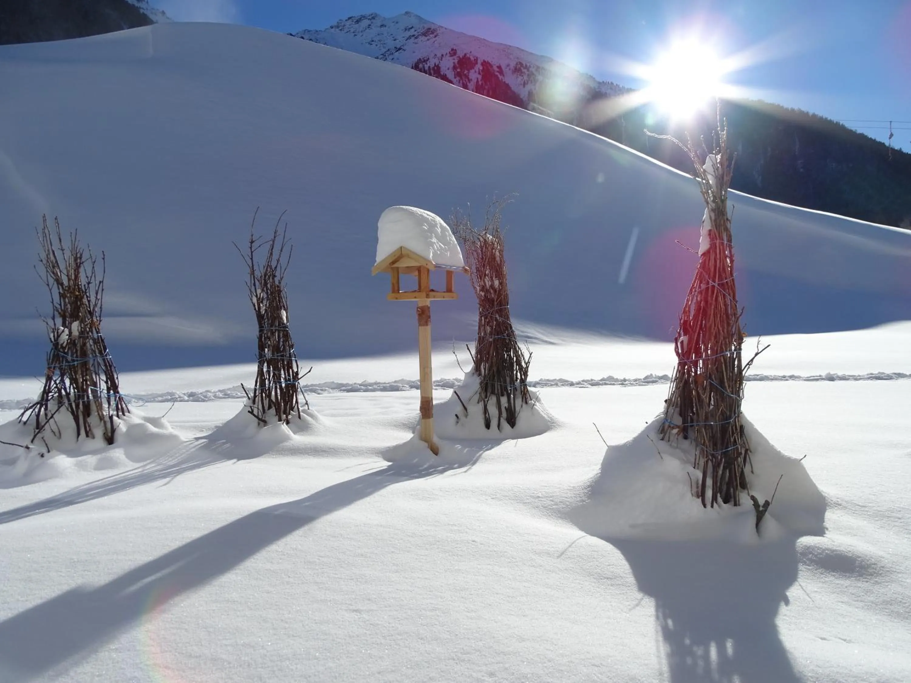 Natural landscape in Apart Tyrol