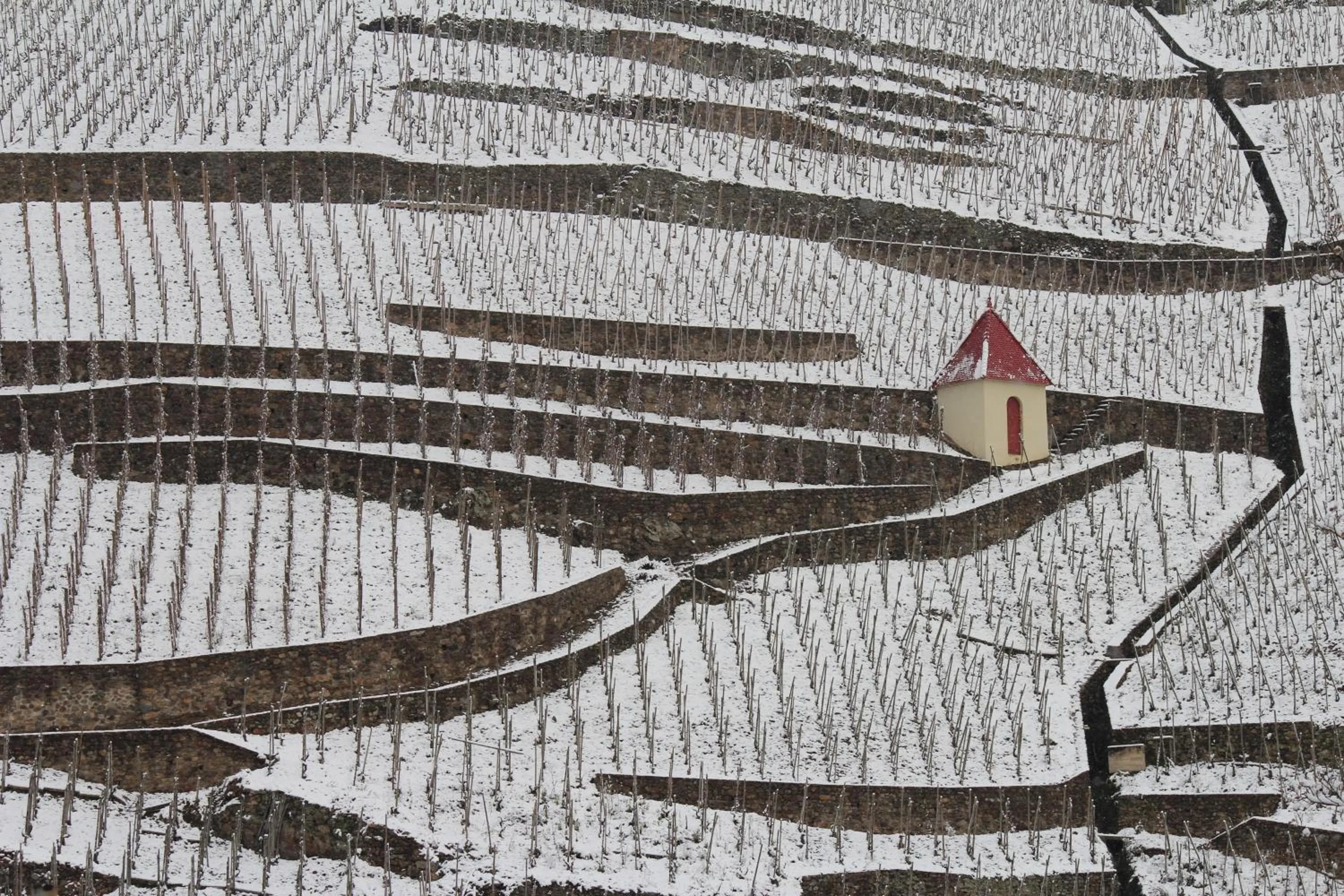 Off site in Hôtel Le Domaine des Vignes Ampuis Lyon Sud Vienne