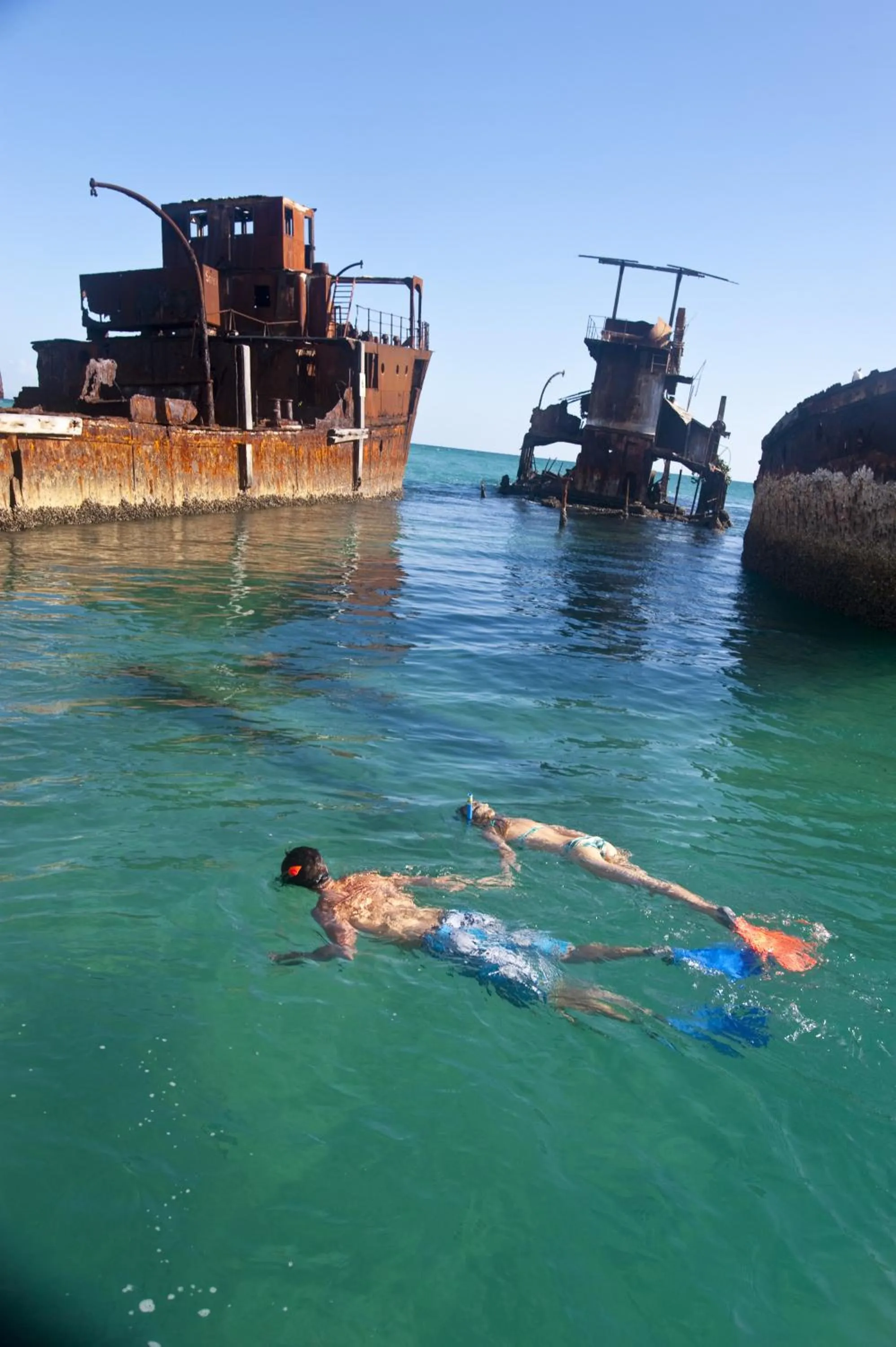 Snorkeling in Tangalooma Island Resort