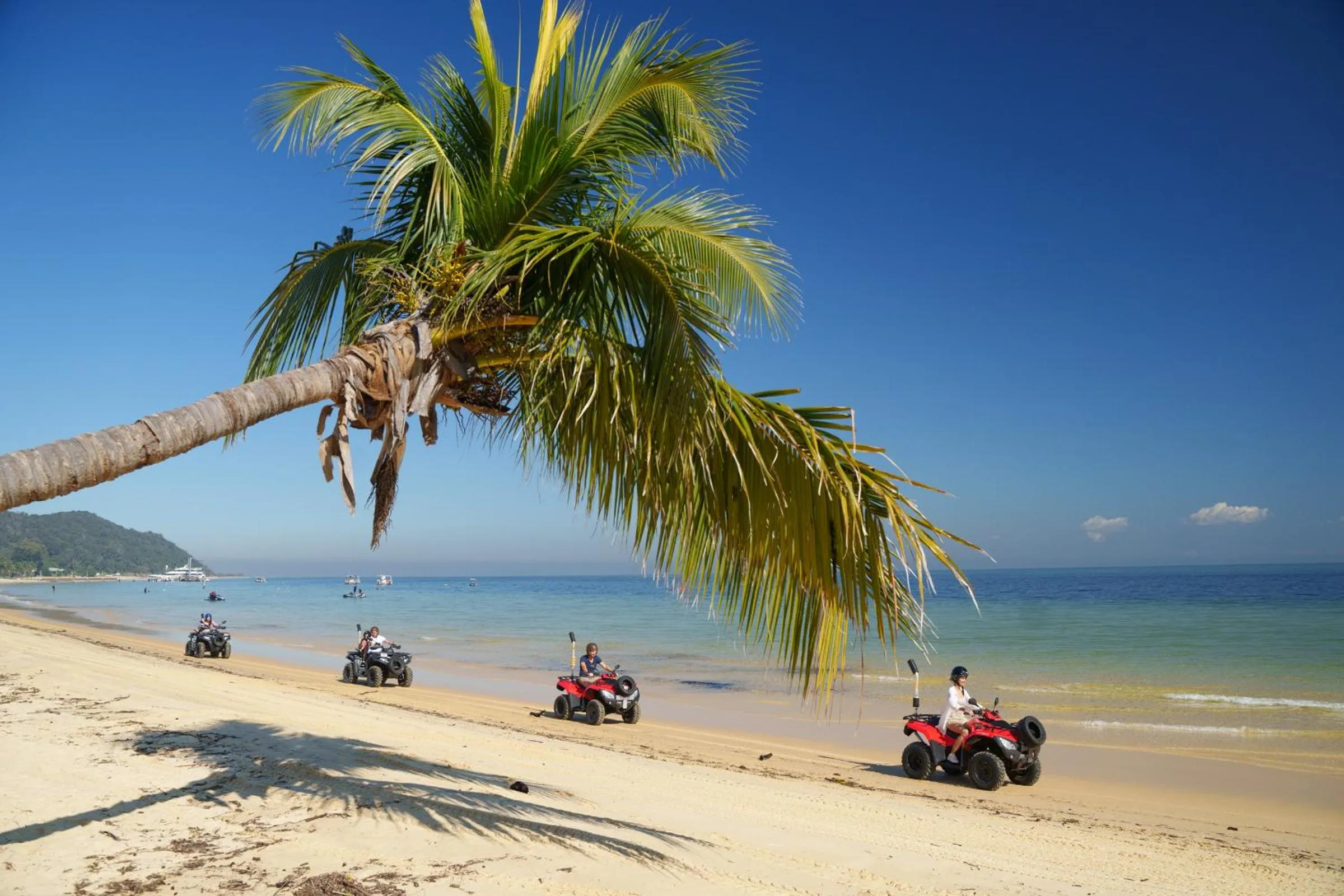 Activities in Tangalooma Island Resort