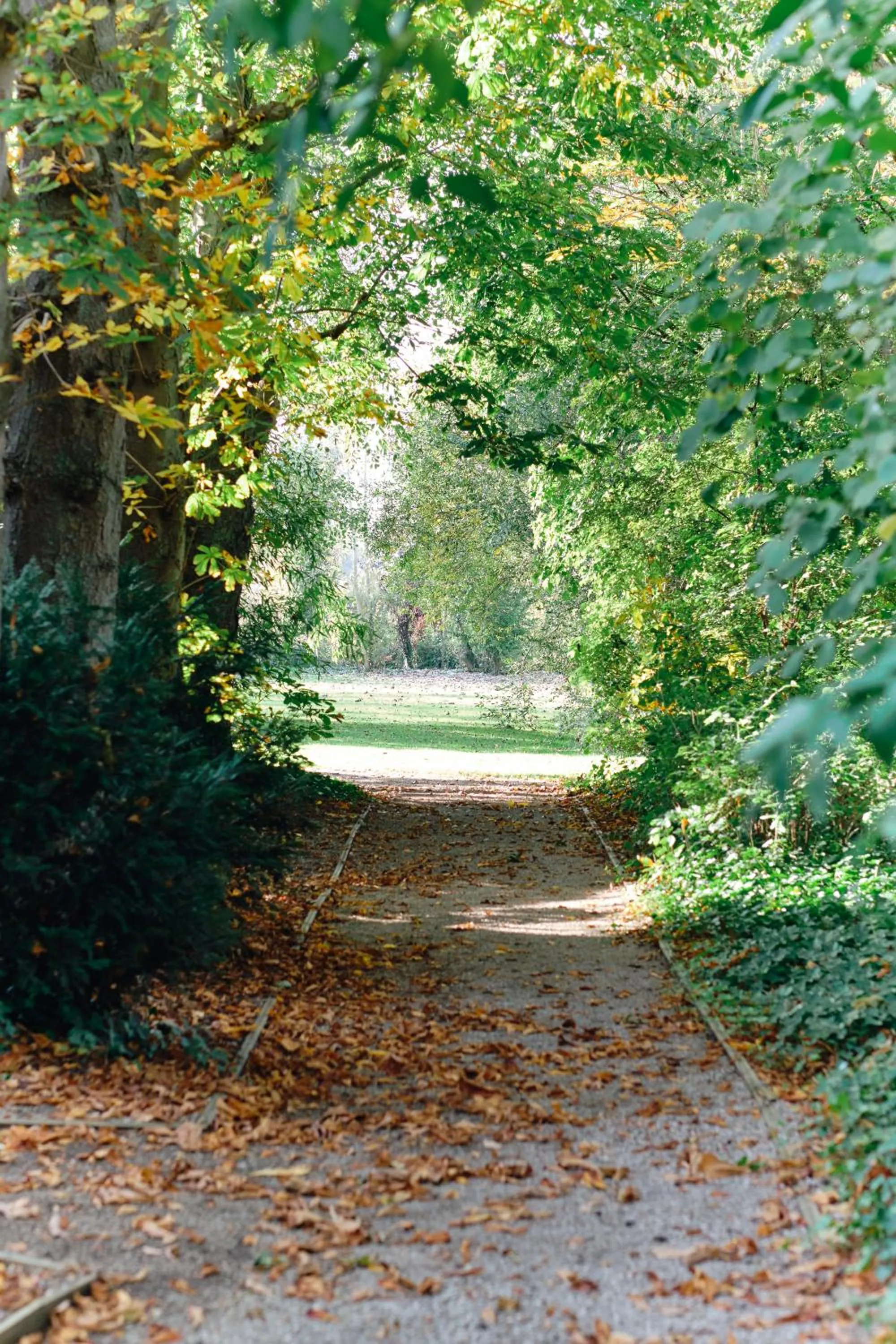 Garden in Au Petit Manoir