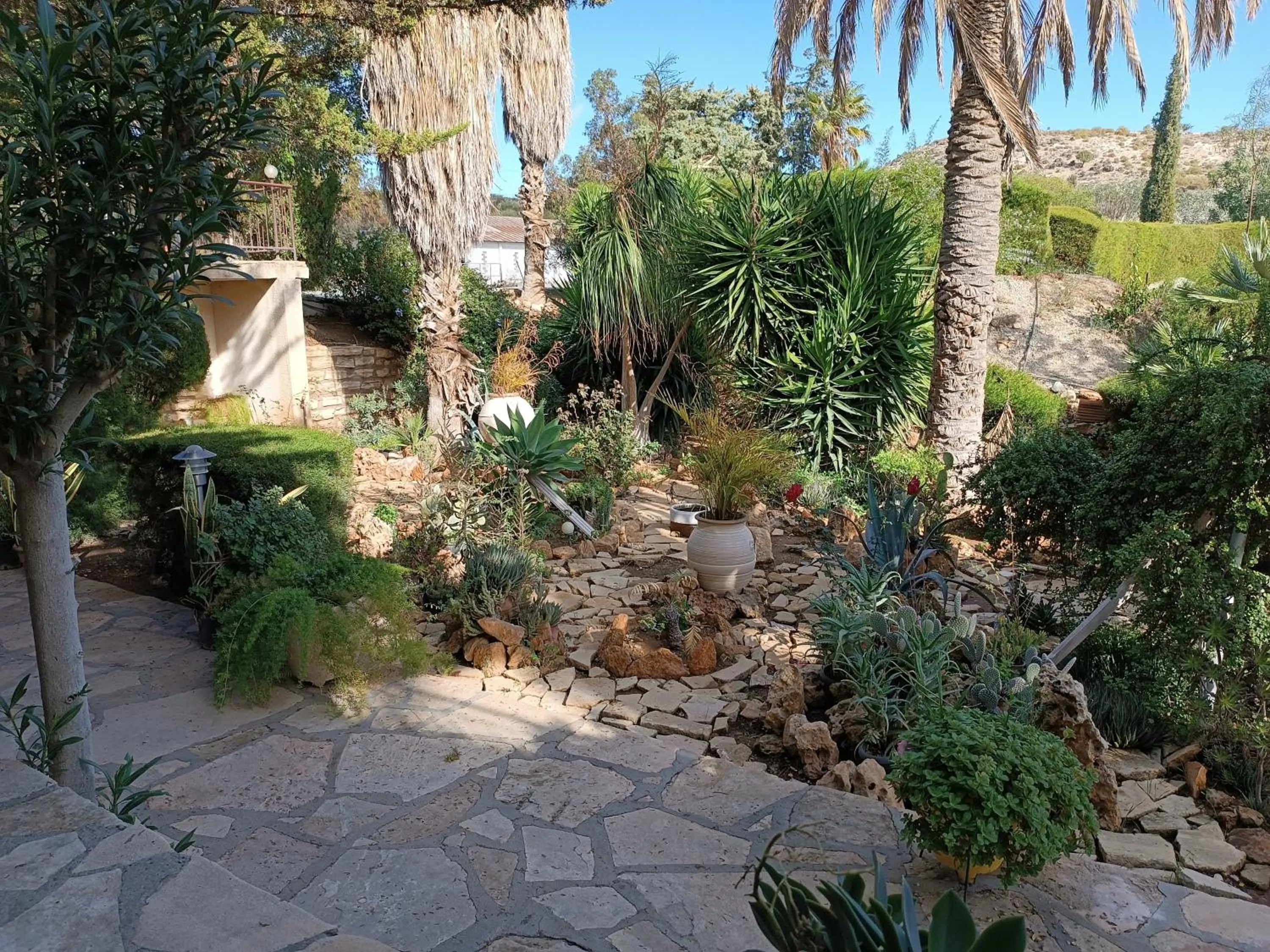 Garden view in Rantzo Holiday Apartments