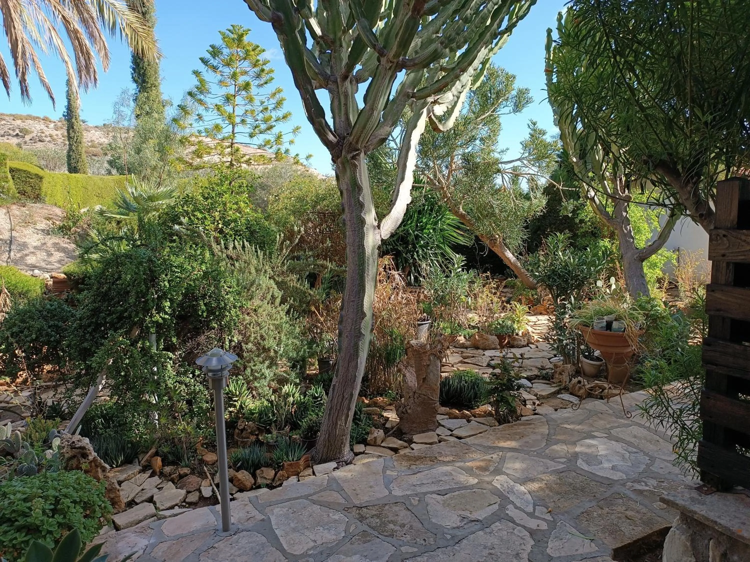 Garden view in Rantzo Holiday Apartments