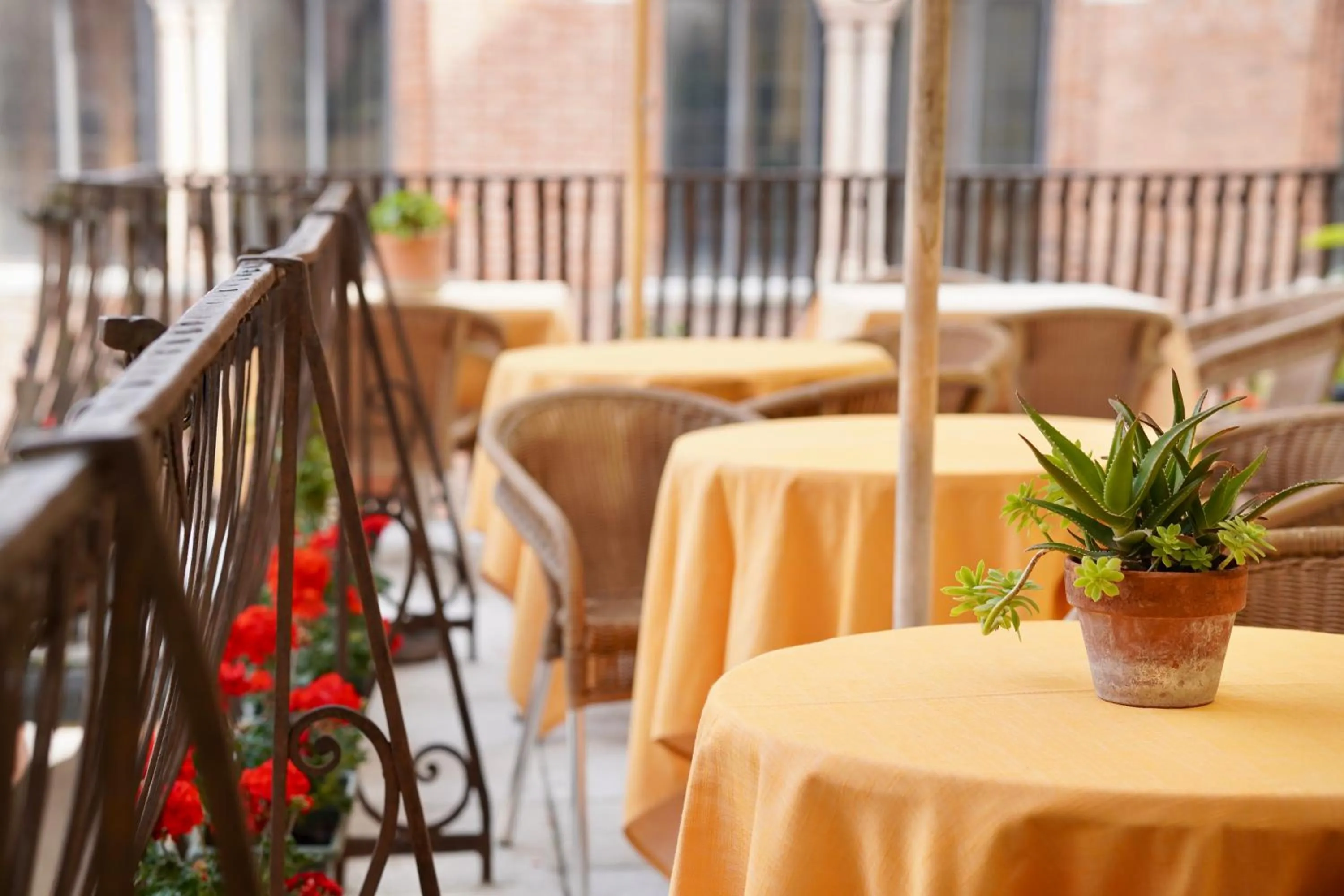 Balcony/Terrace in Hotel Aurora