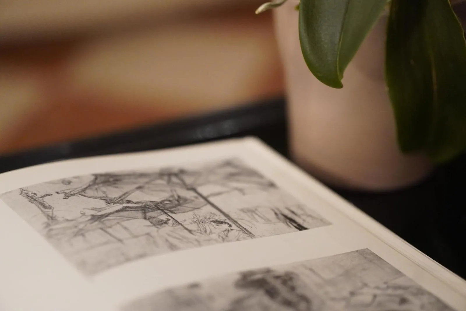 Lobby or reception in Hotel Aurora