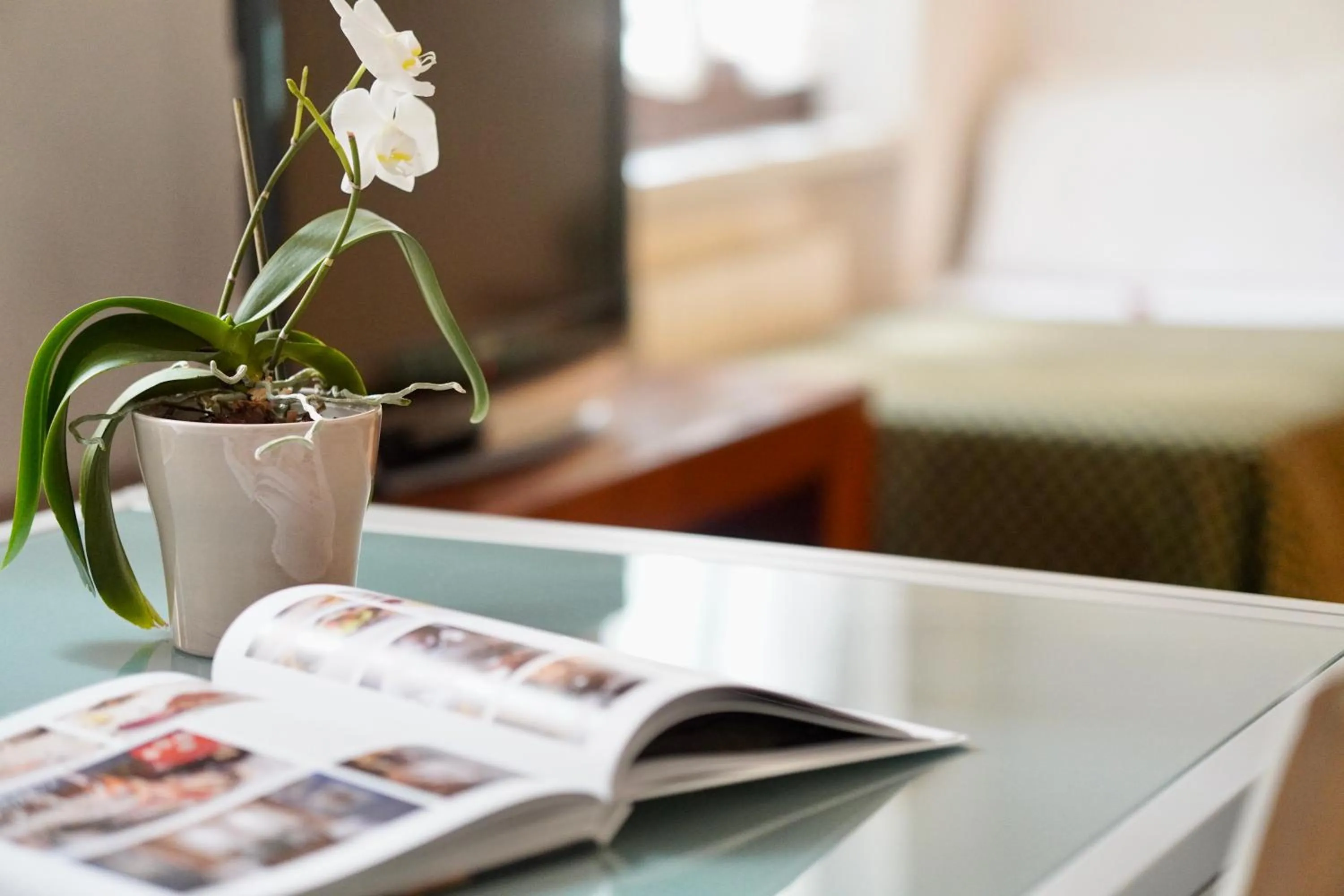 Living room, Bed in Hotel Aurora