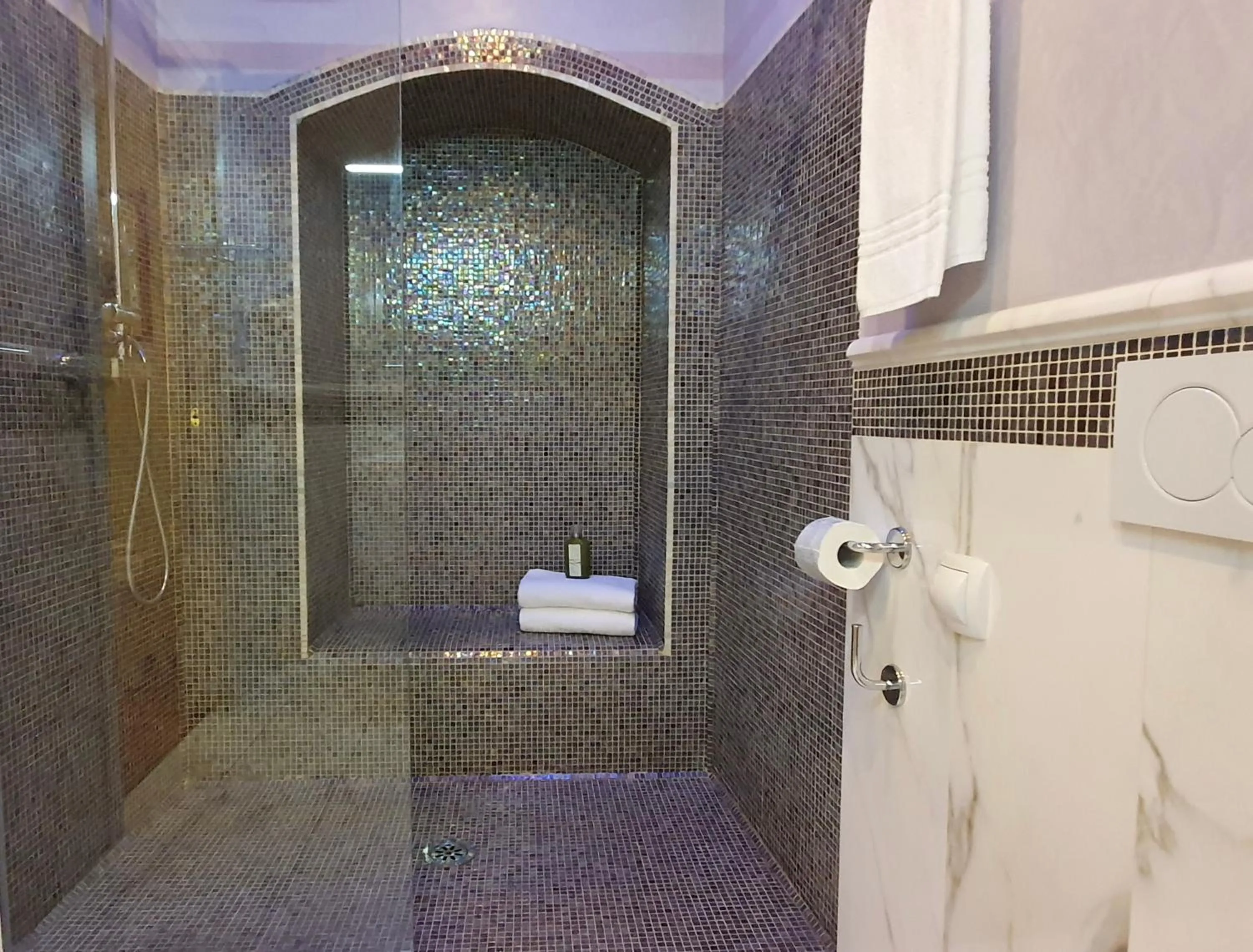Shower in Hotel Aurora