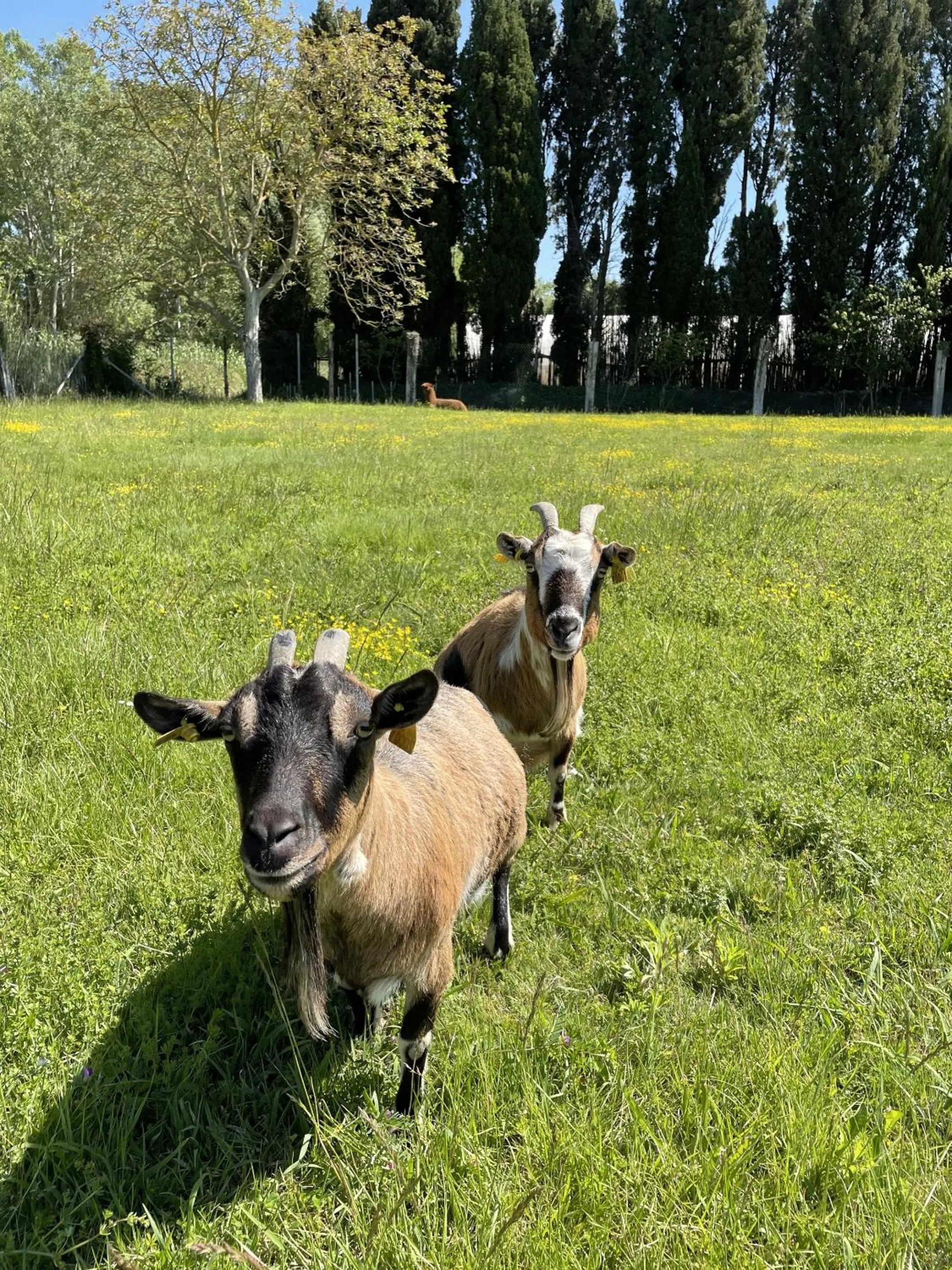Natural landscape in Le Mas Des Chutes