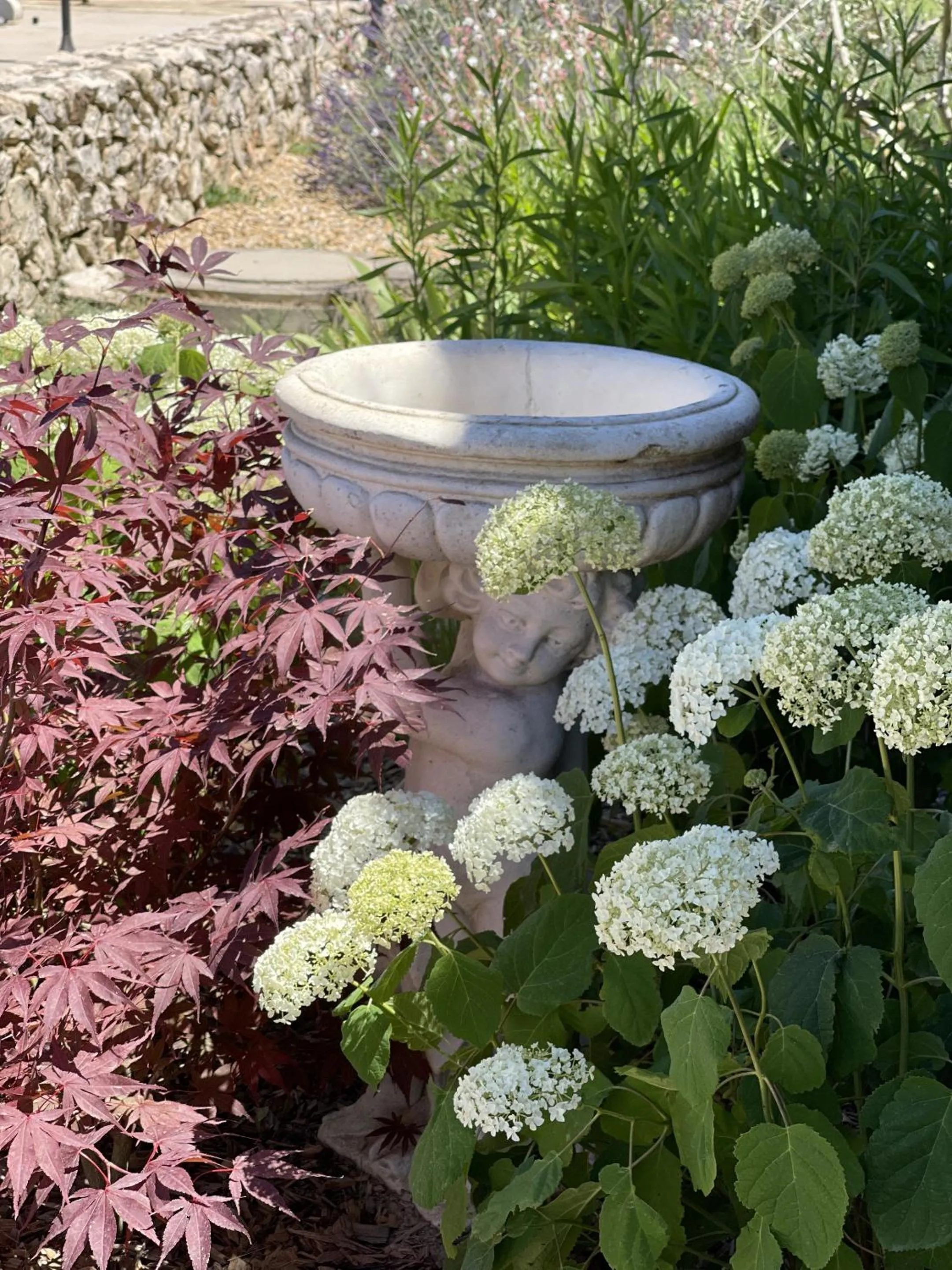 Garden in Le Mas Des Chutes