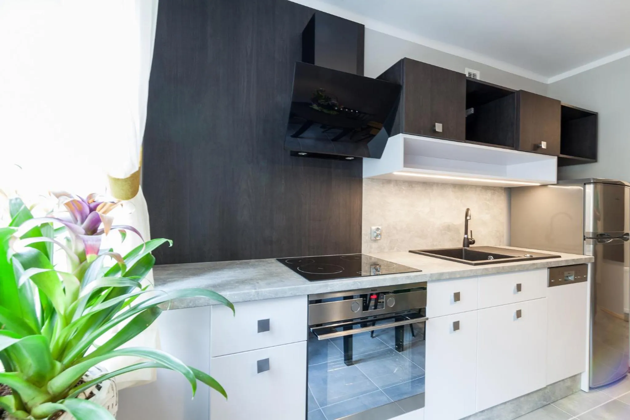 Kitchen or kitchenette in Apartamenty w Willi Silesia
