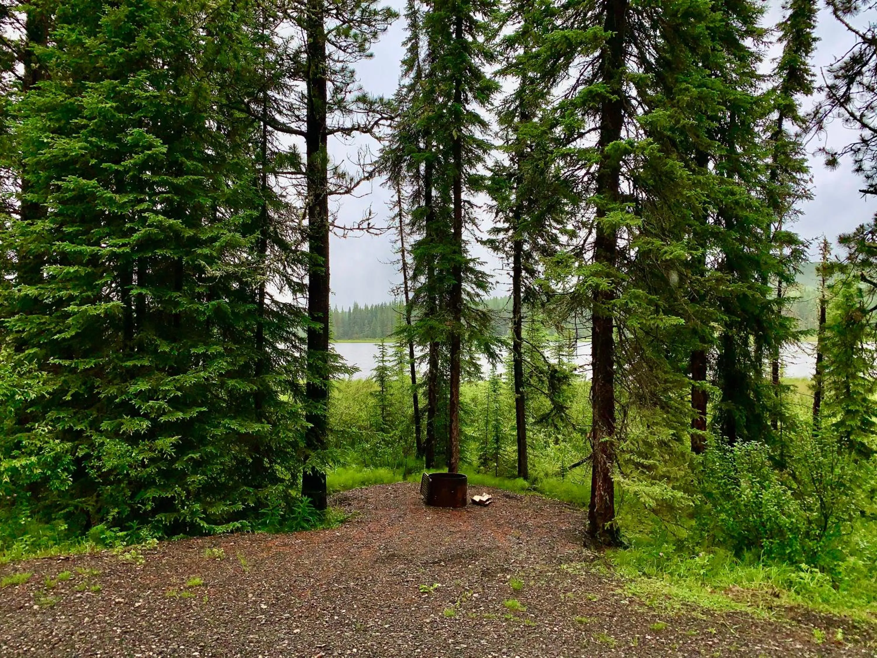 Natural landscape in Schott's Lake Conference & Resort