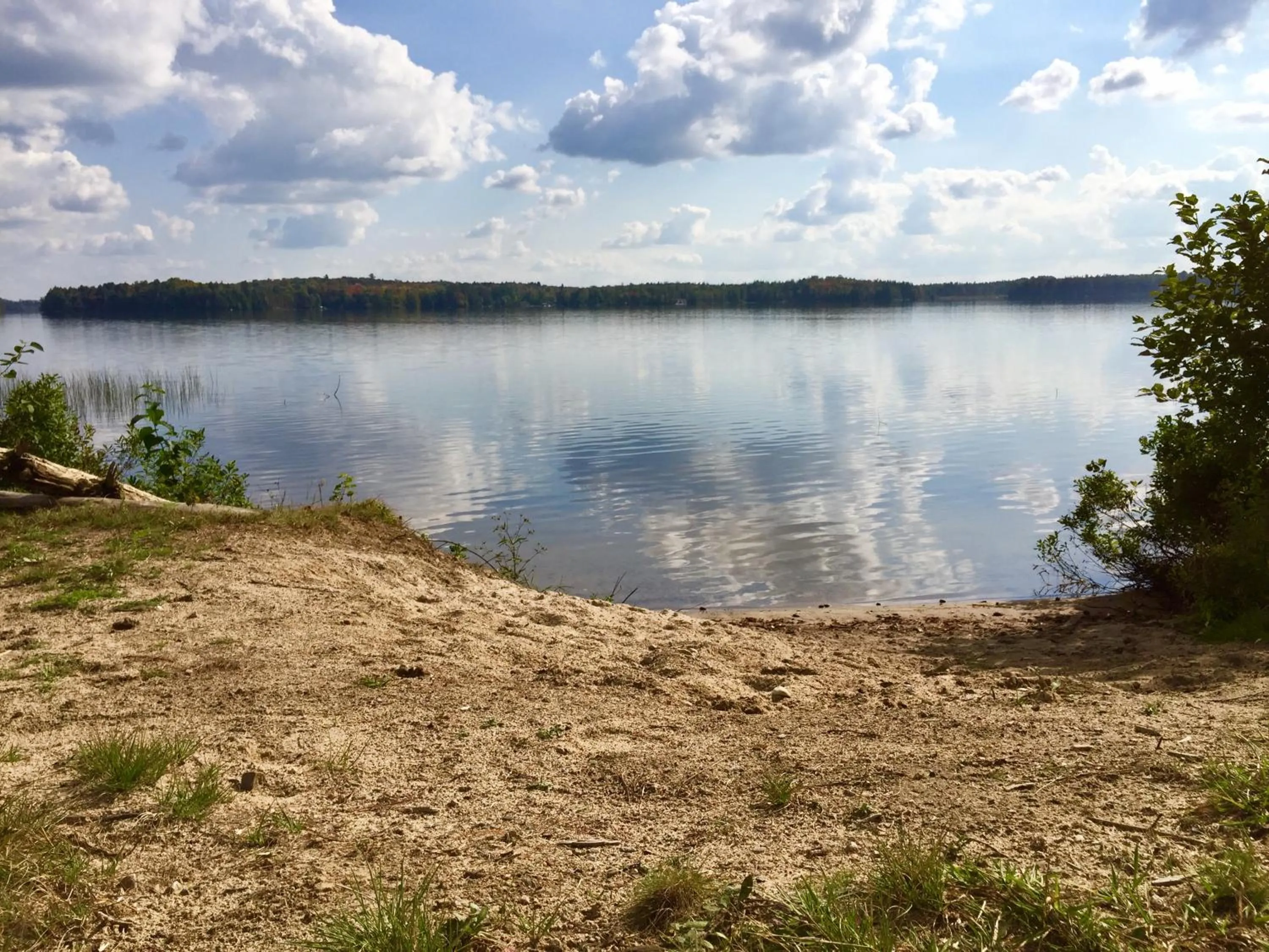 Beach in Shores of Deer Lake