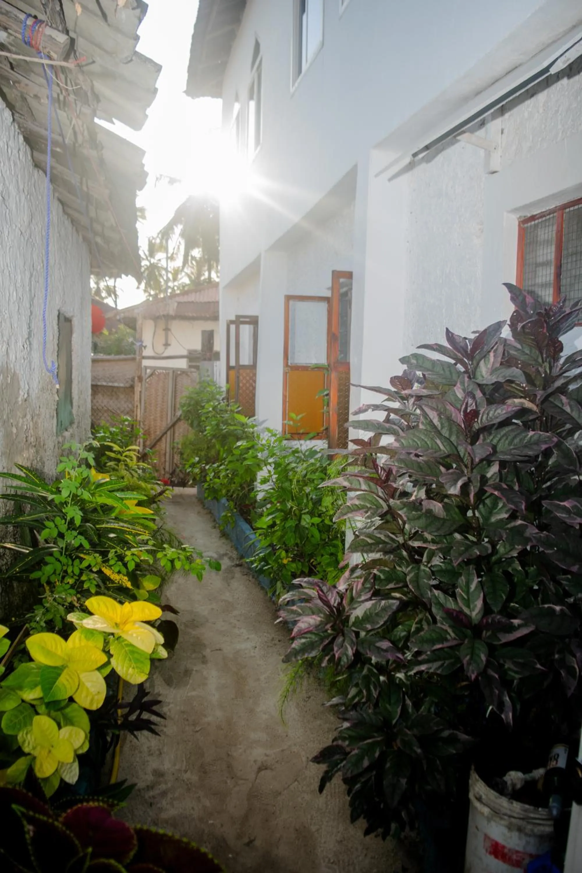 Property building in Mudi House