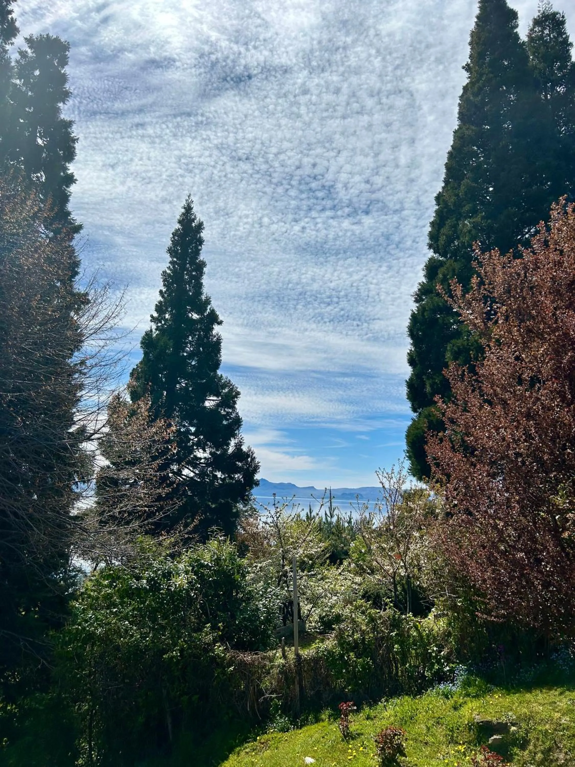 Natural landscape in Bahia Paraiso Apart & Suites