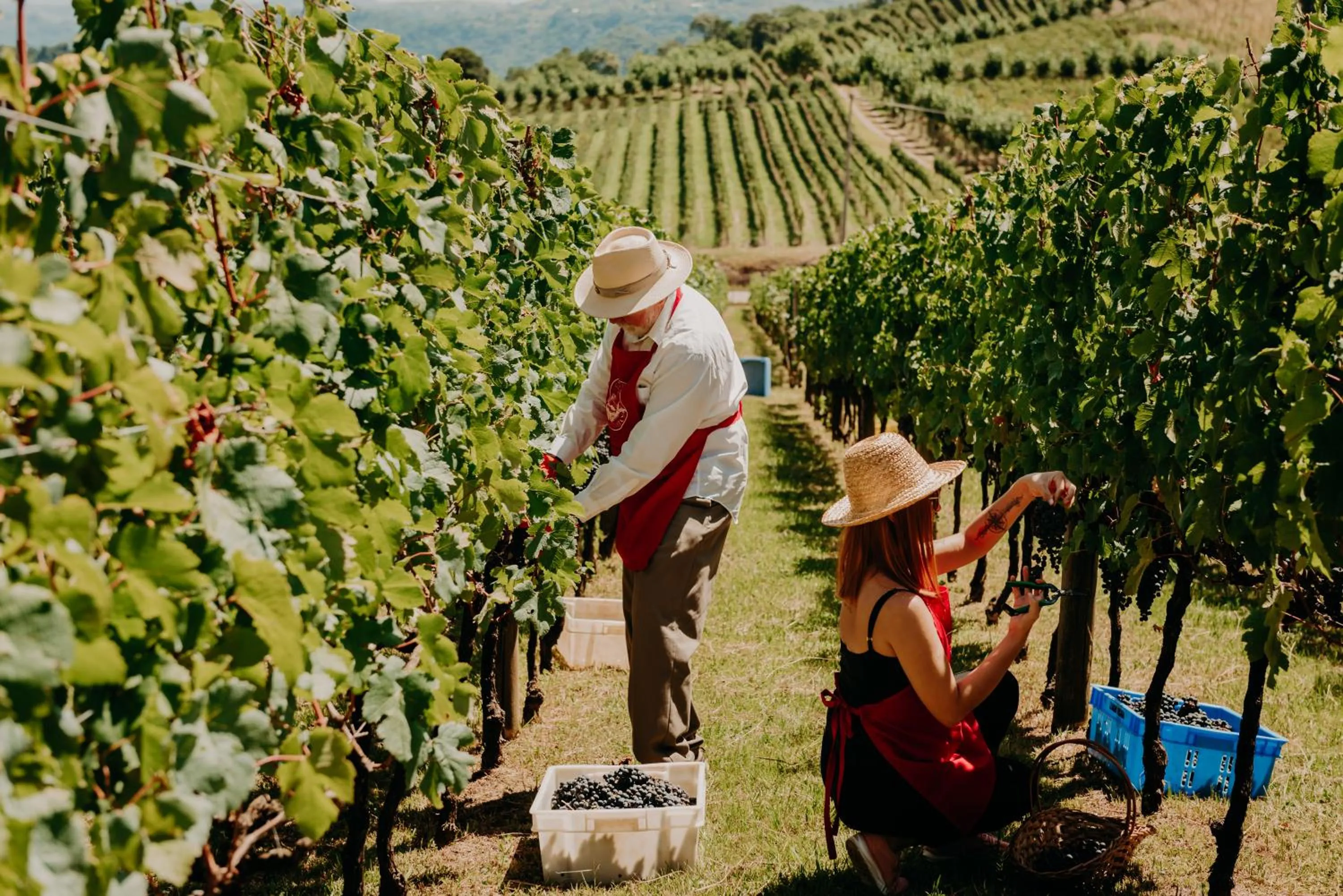 Spa do Vinho Condomínio Vitivinícola