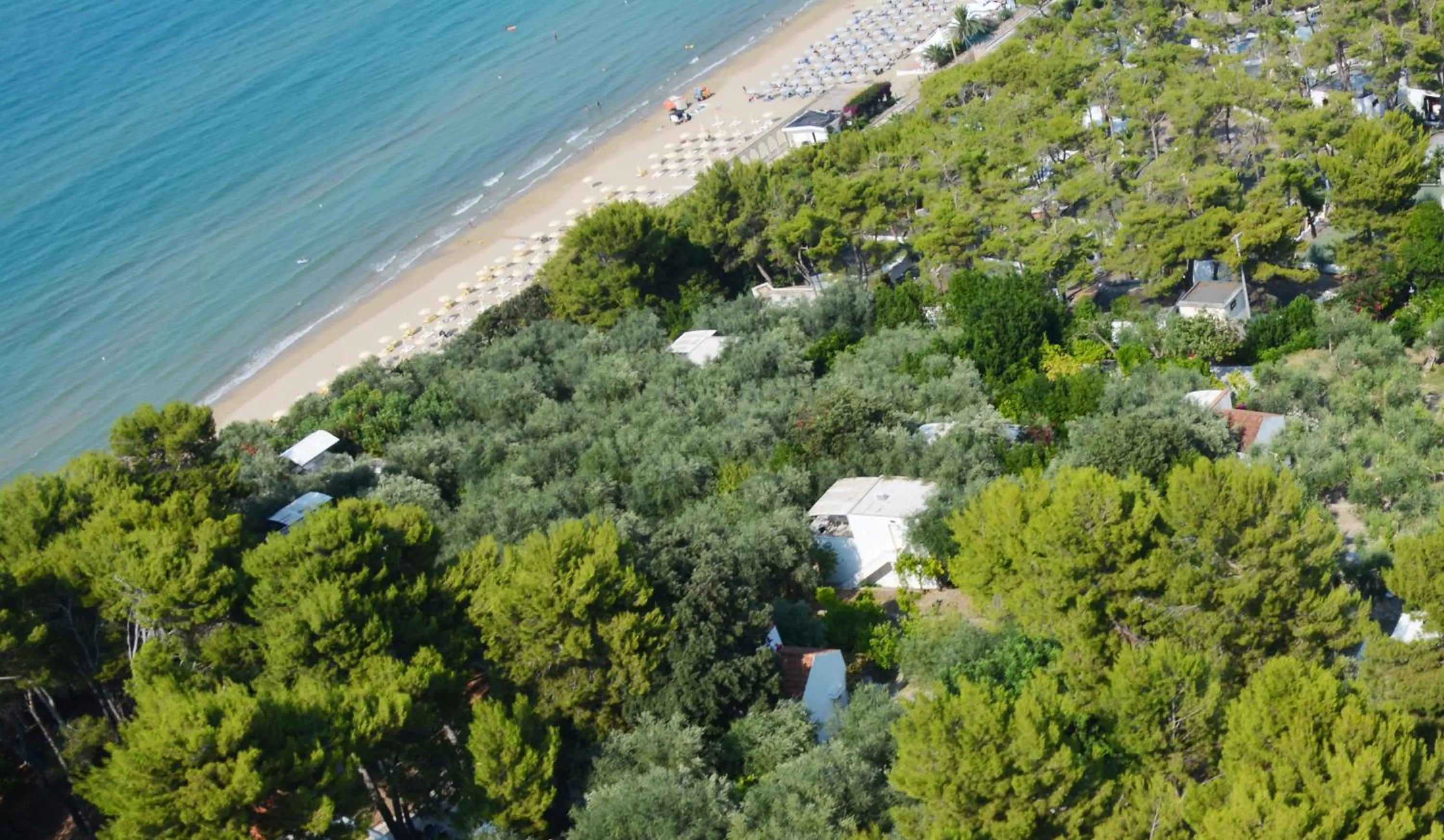 Beach in Villaggio Hotel Ripa