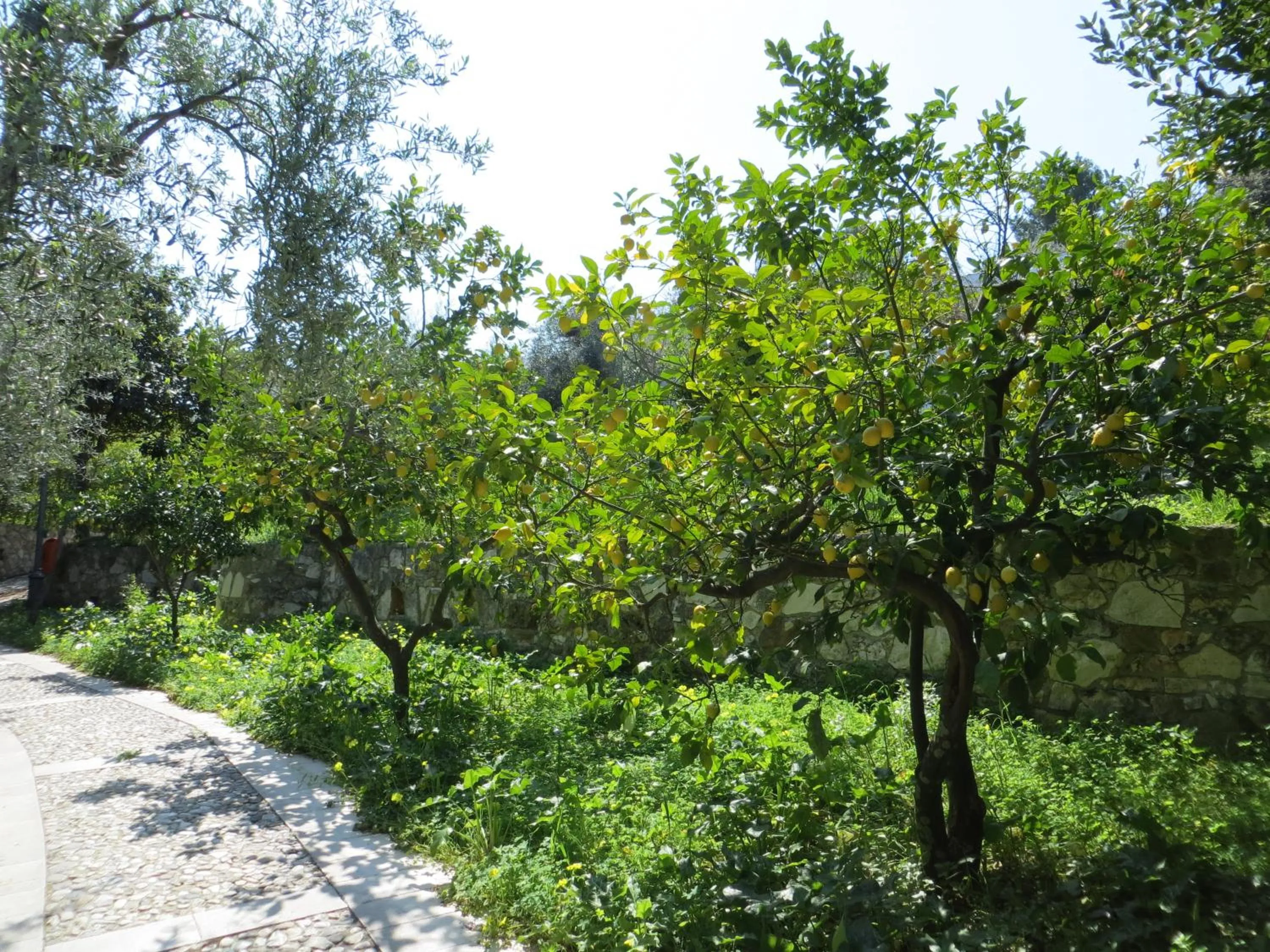 Facade/entrance in Villaggio Hotel Ripa