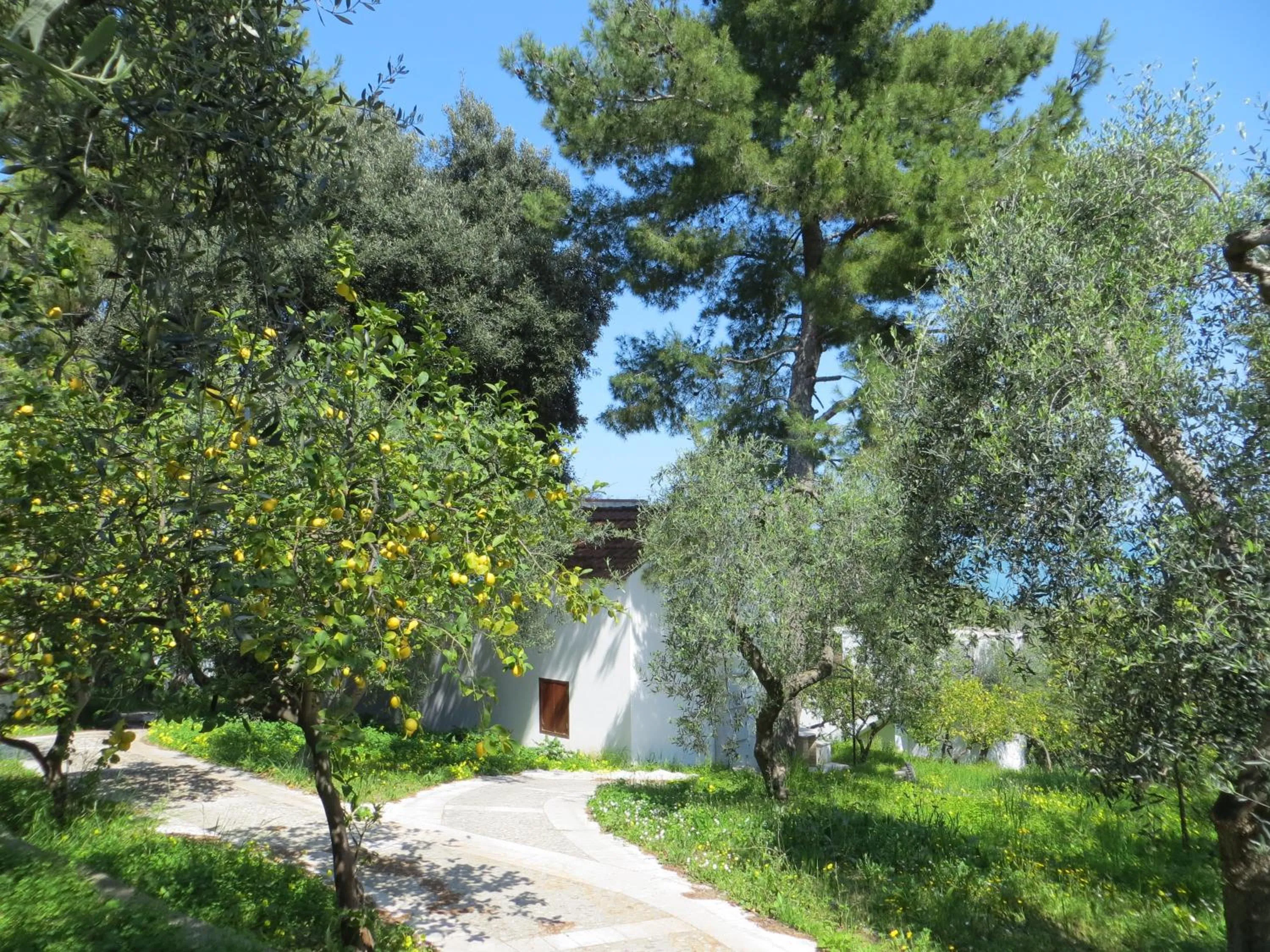 Facade/entrance in Villaggio Hotel Ripa