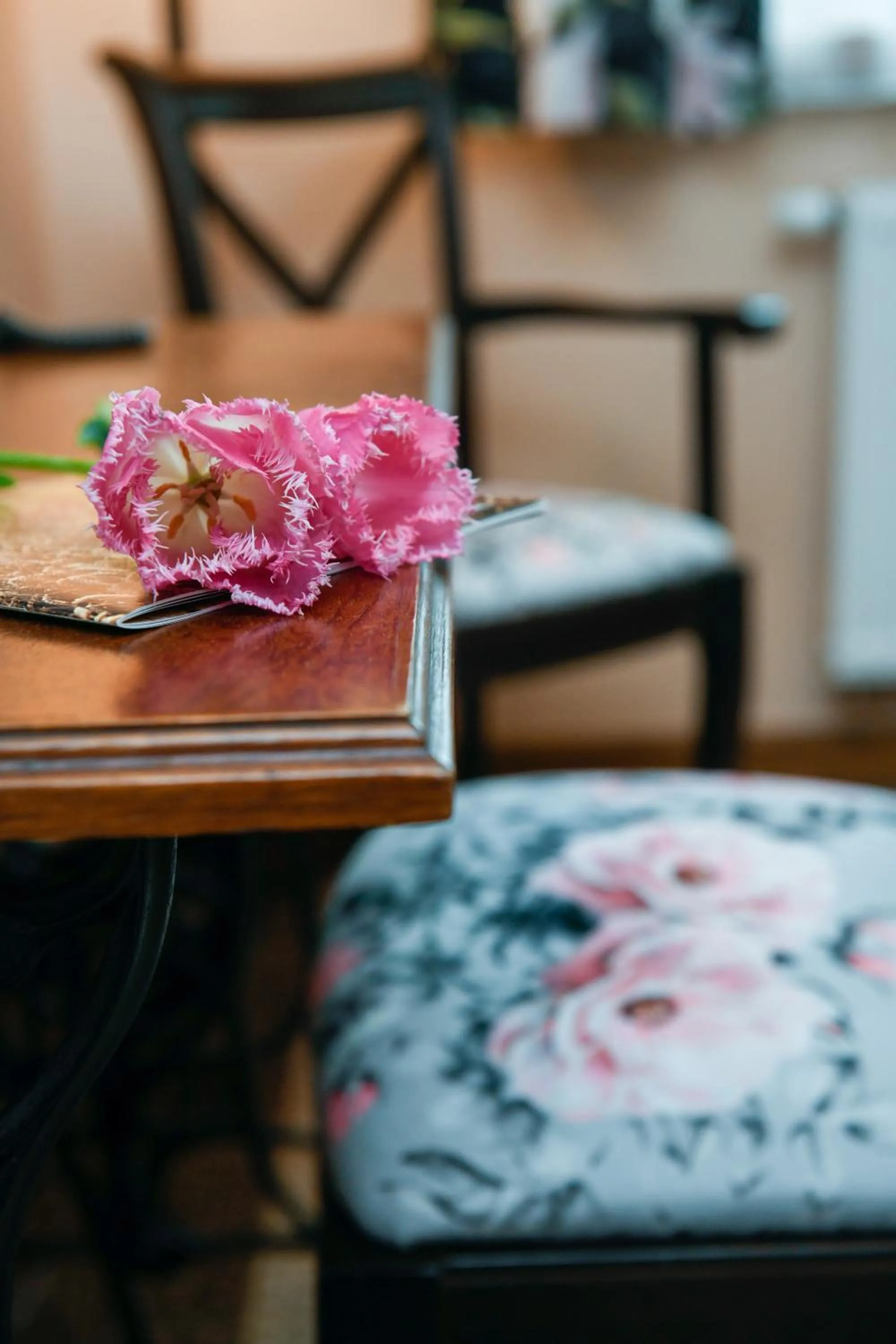 Other in Folwark Łękuk