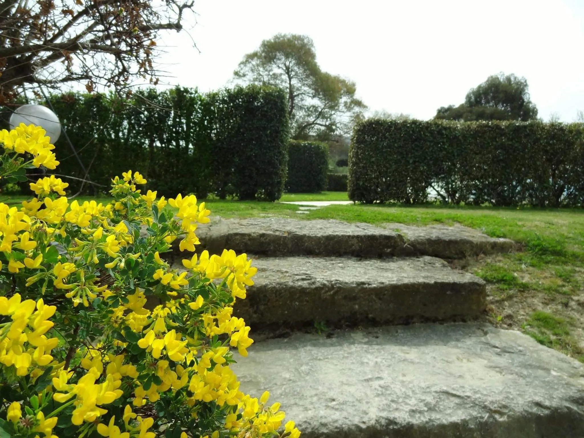 Garden in Les Résidences de Métifiot
