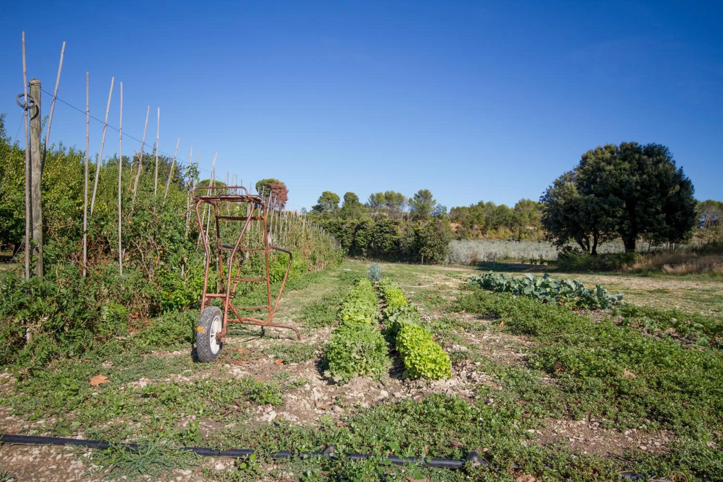 Garden in Les Résidences de Métifiot