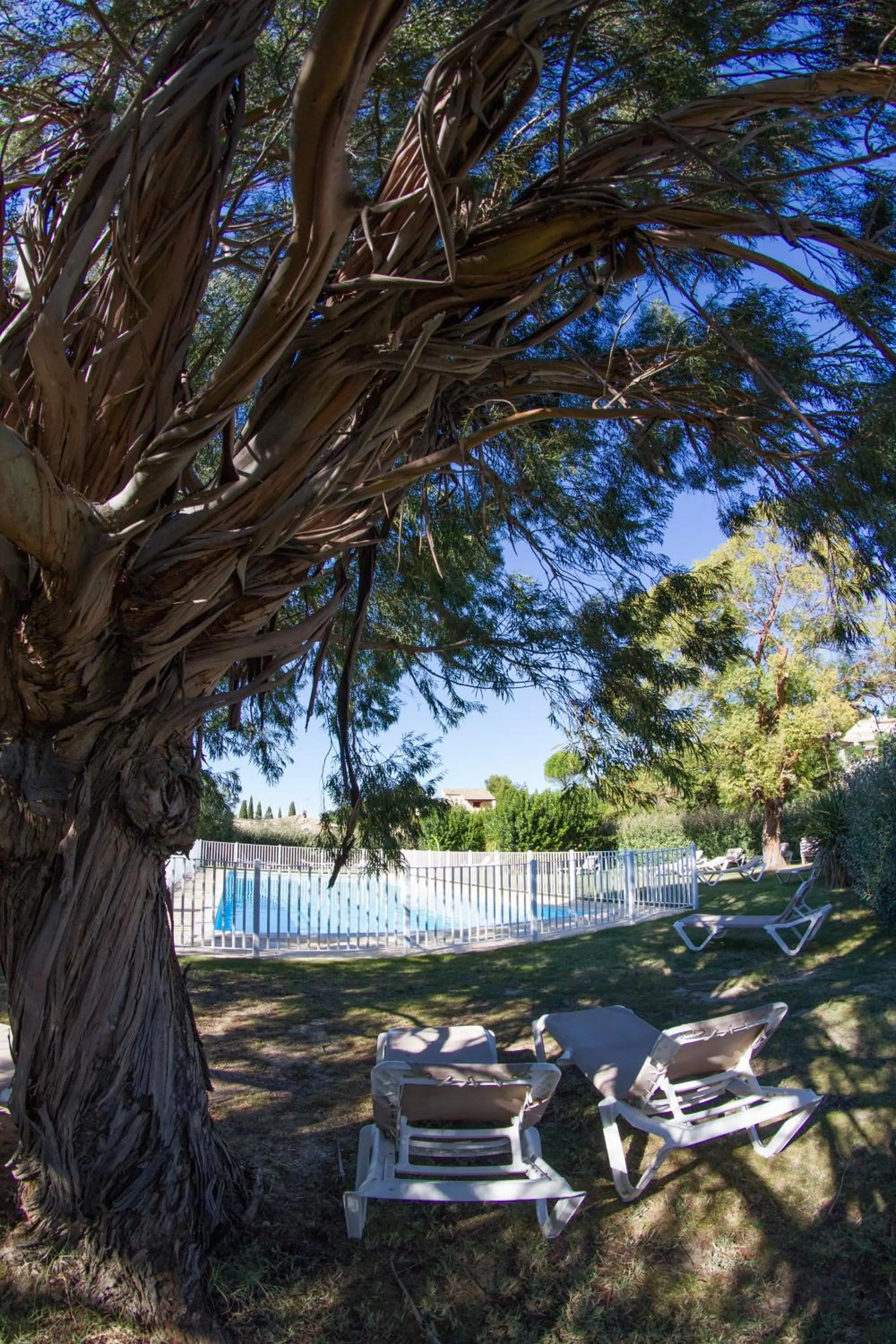 Garden in Les Résidences de Métifiot