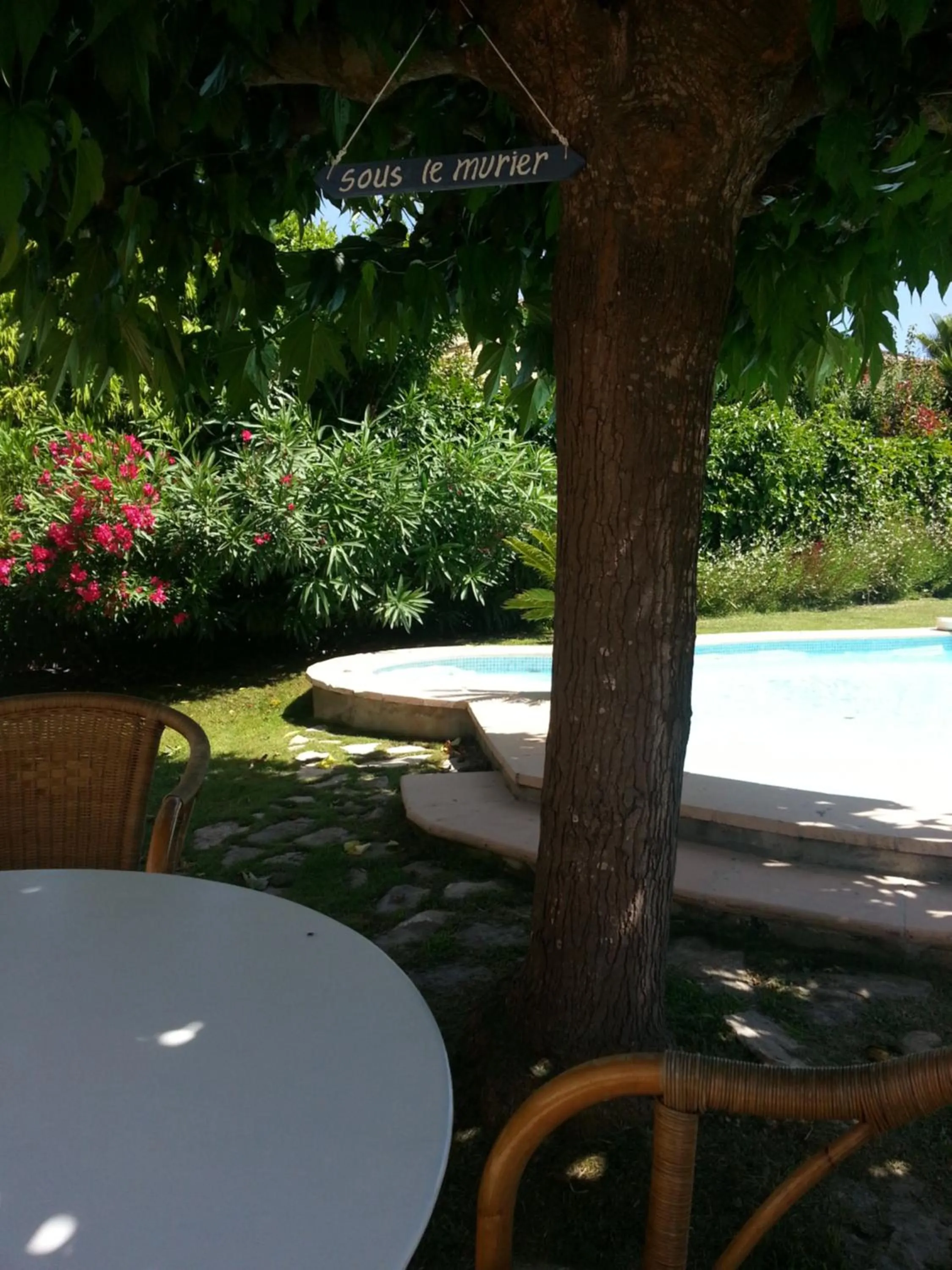 Sous le mûrier