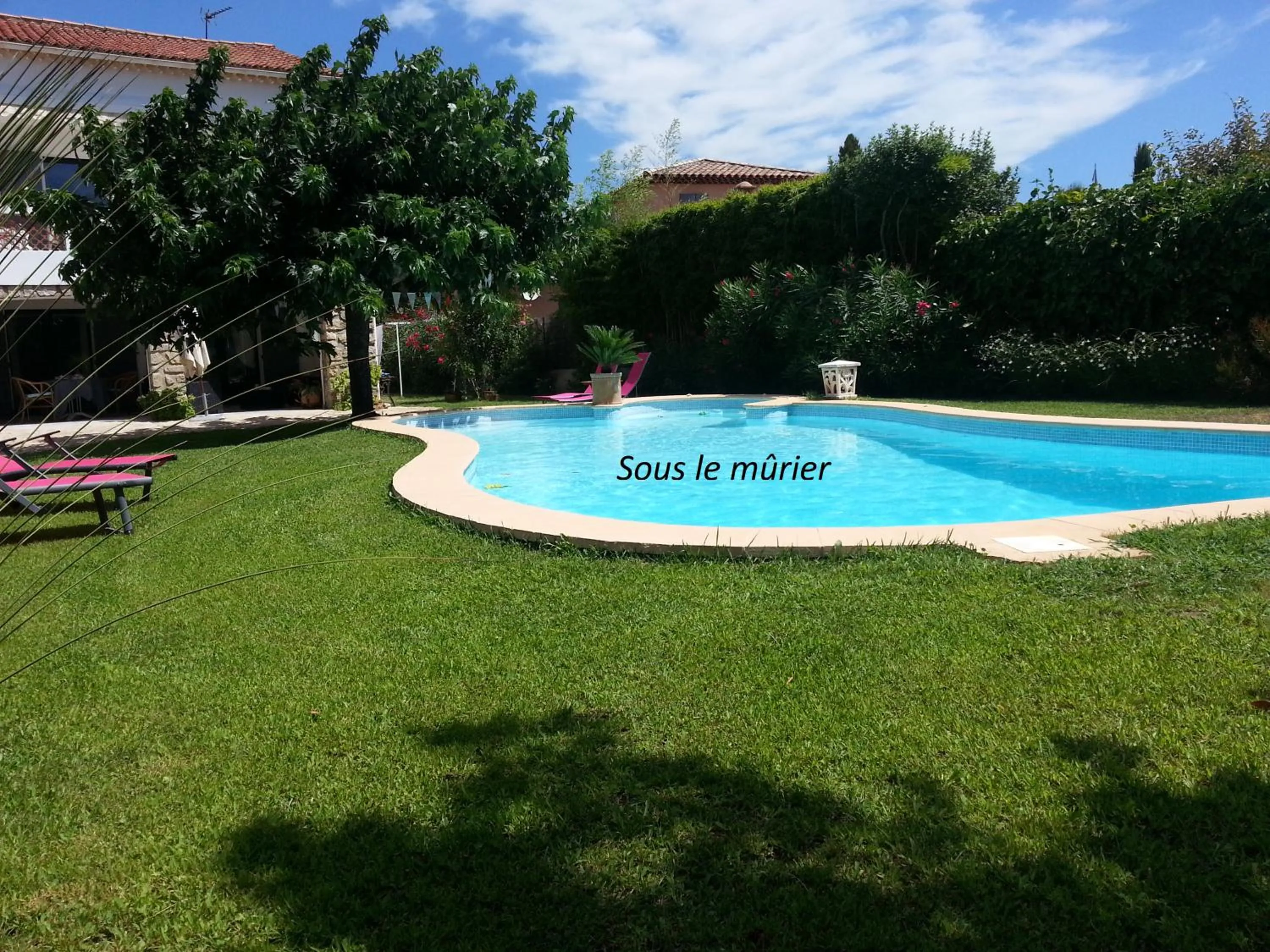 Pool view in Sous le mûrier