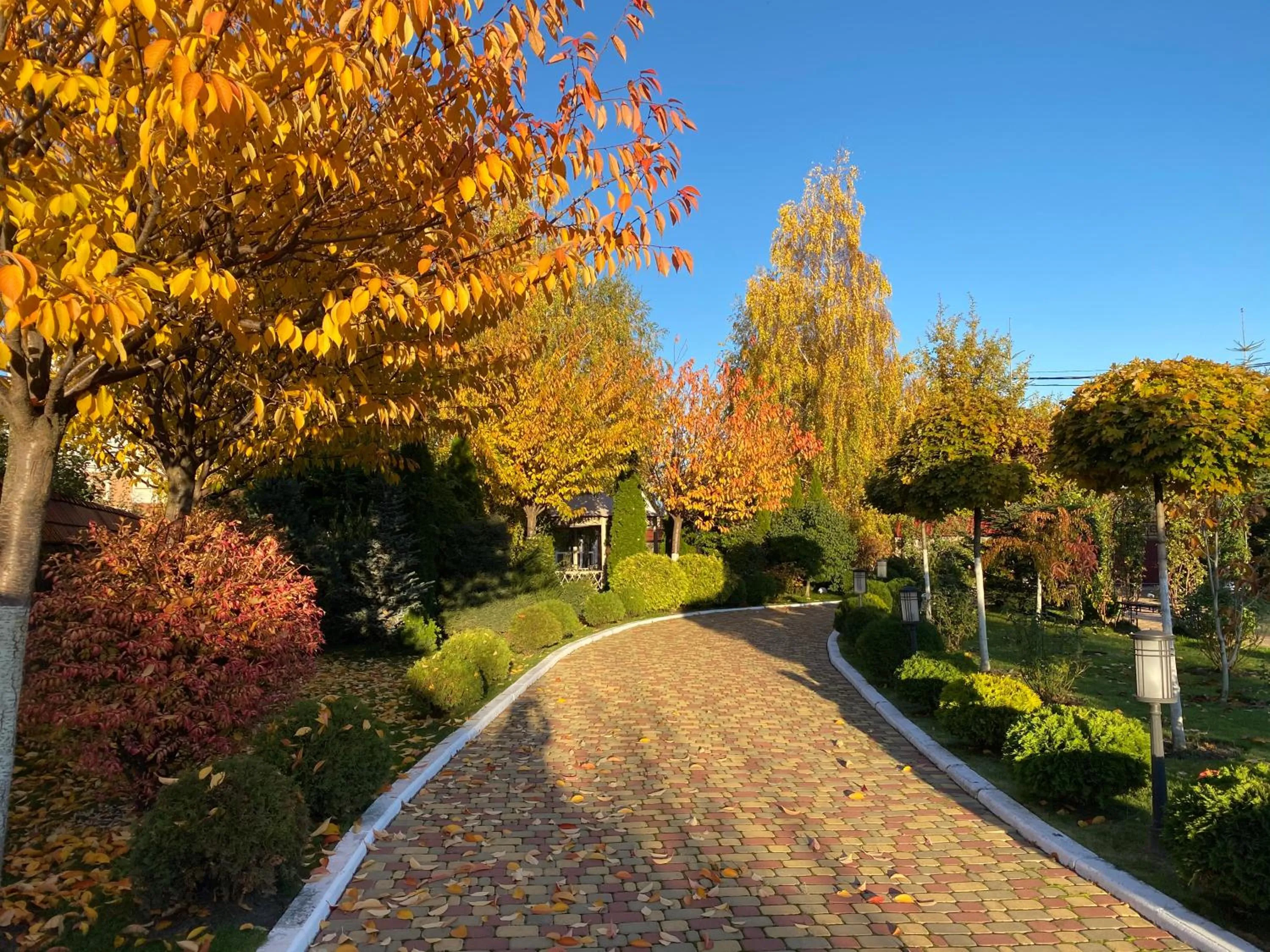 Garden in Sofievsky Posad Hotel