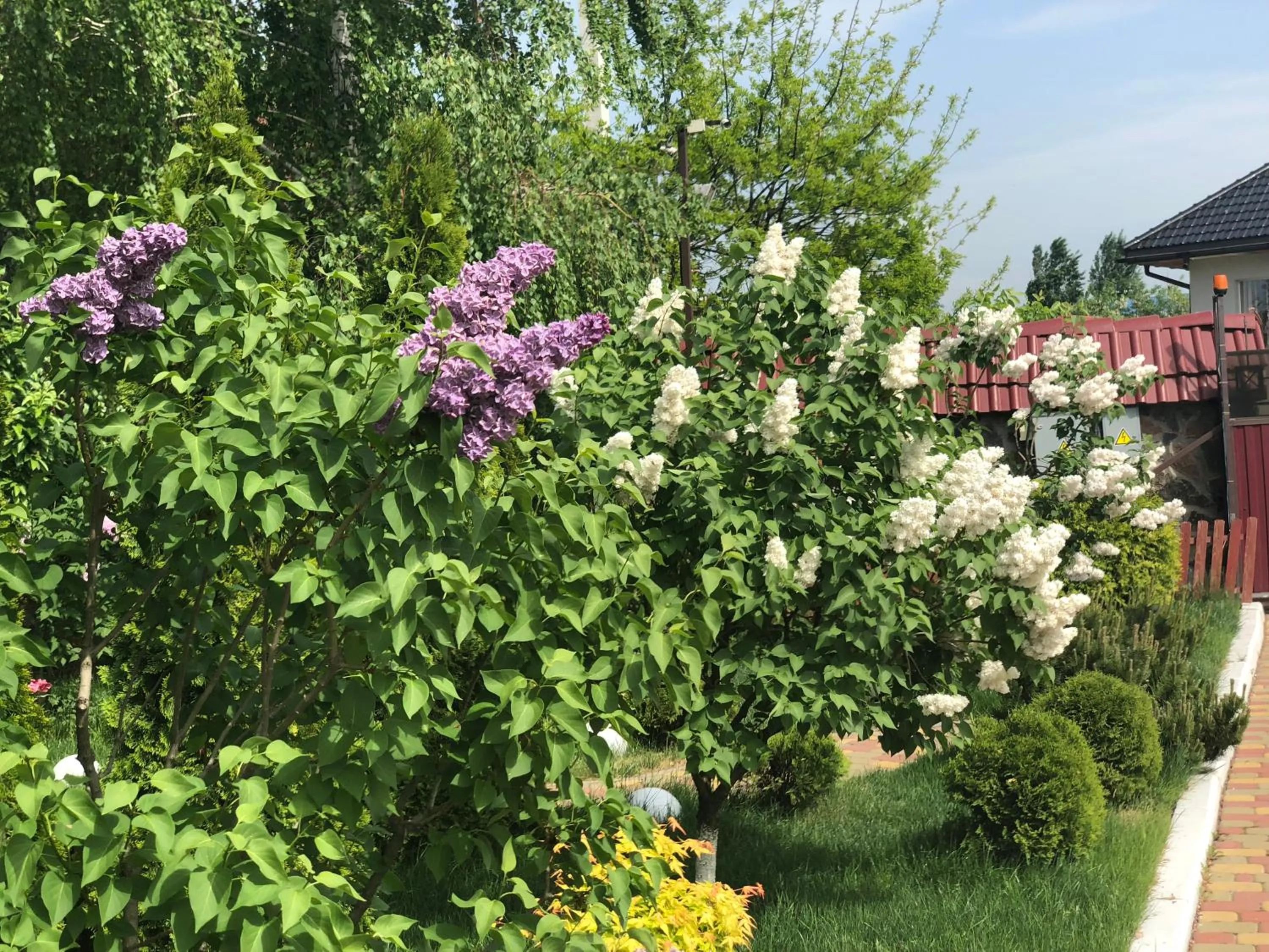 Garden in Sofievsky Posad Hotel