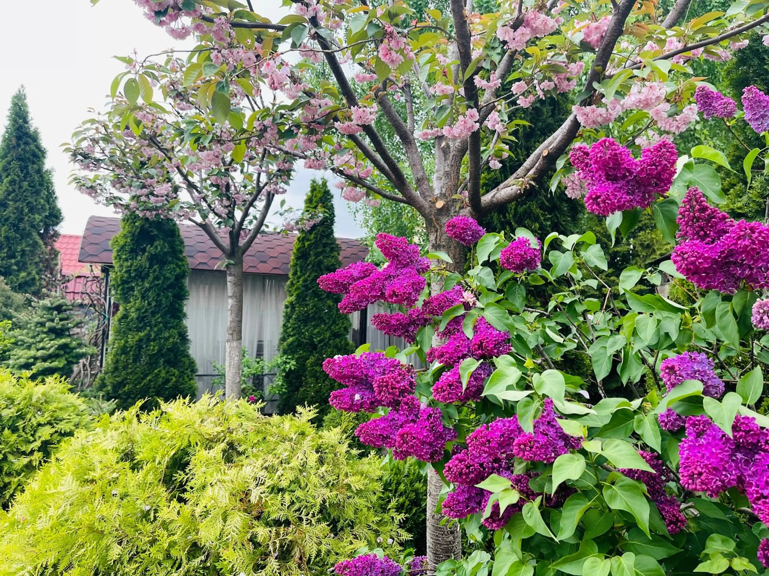 Area and facilities in Sofievsky Posad Hotel