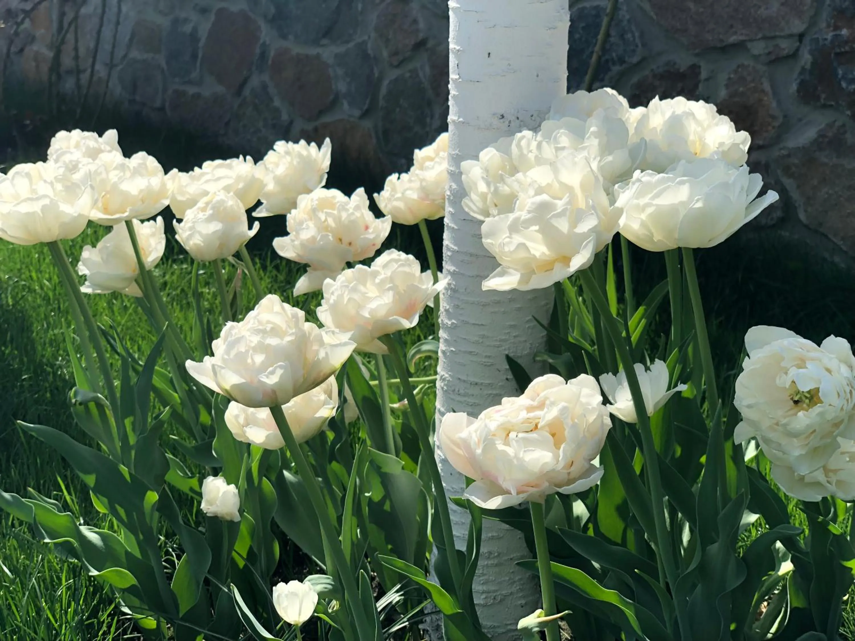 Garden in Sofievsky Posad Hotel